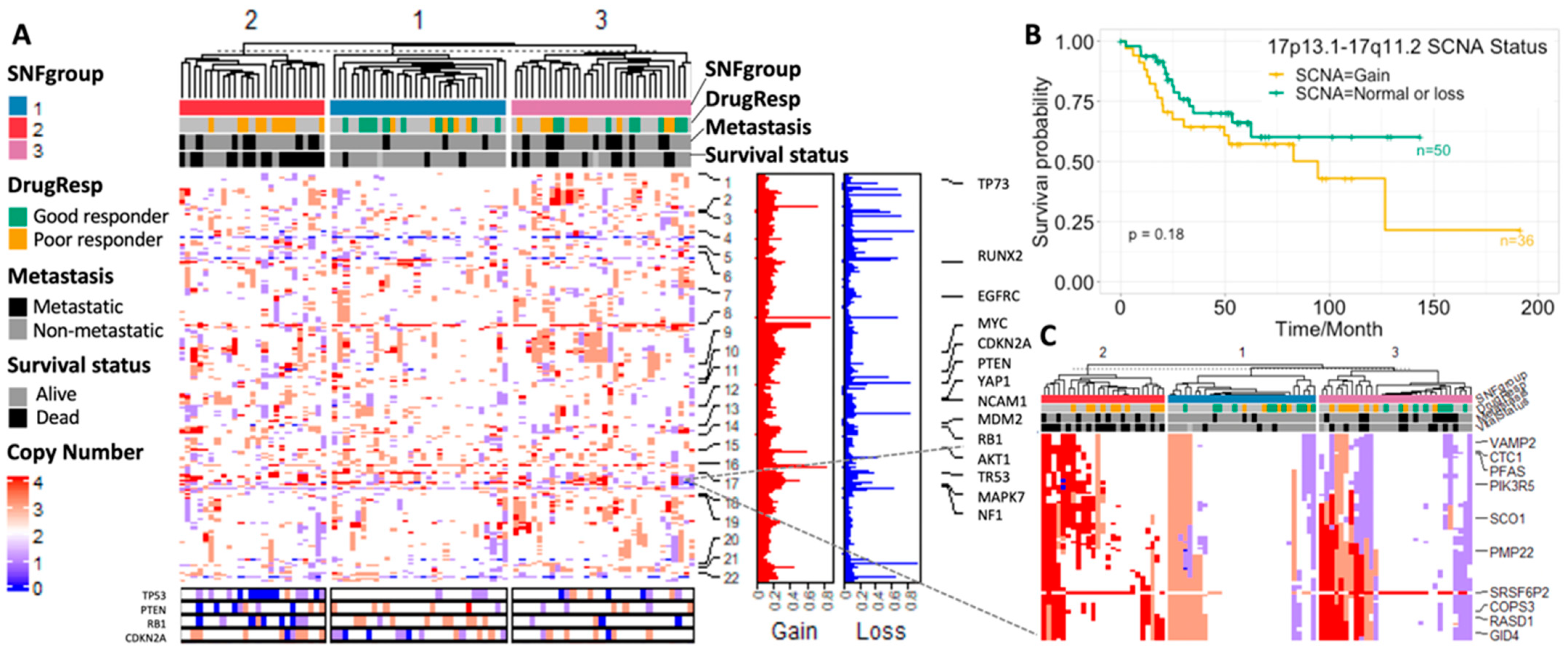 Cancers 15 04970 g003