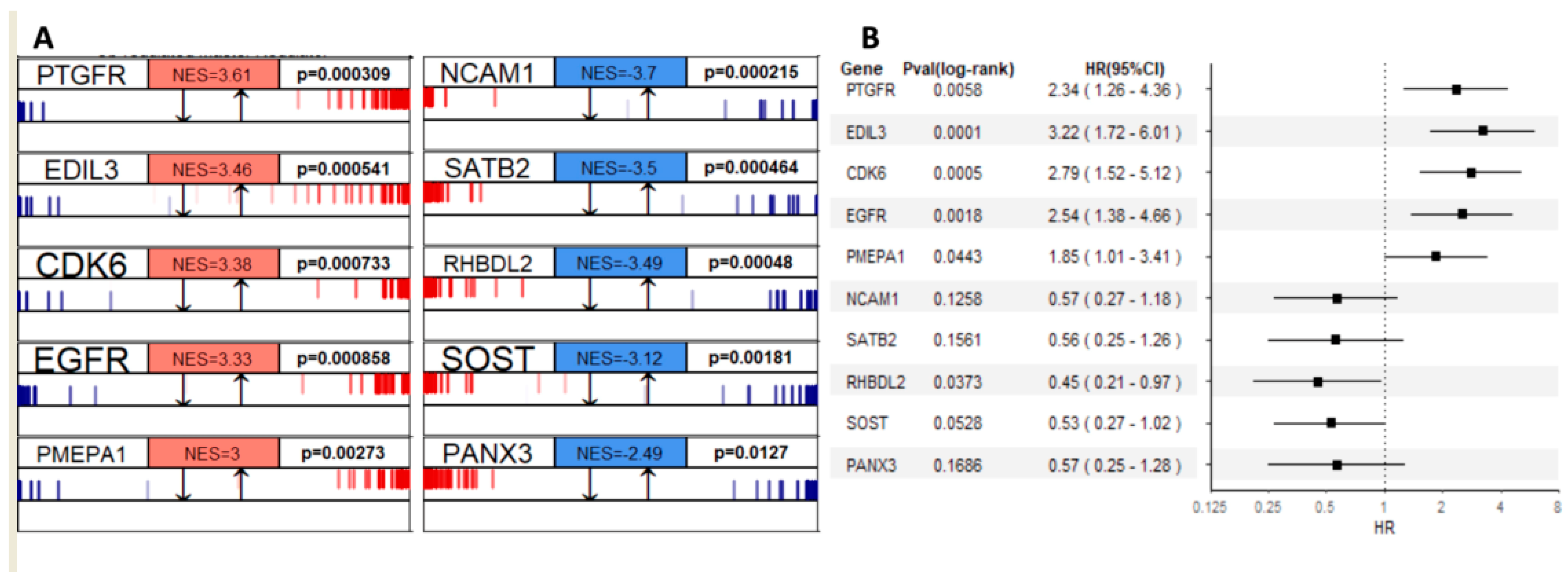Cancers 15 04970 g005
