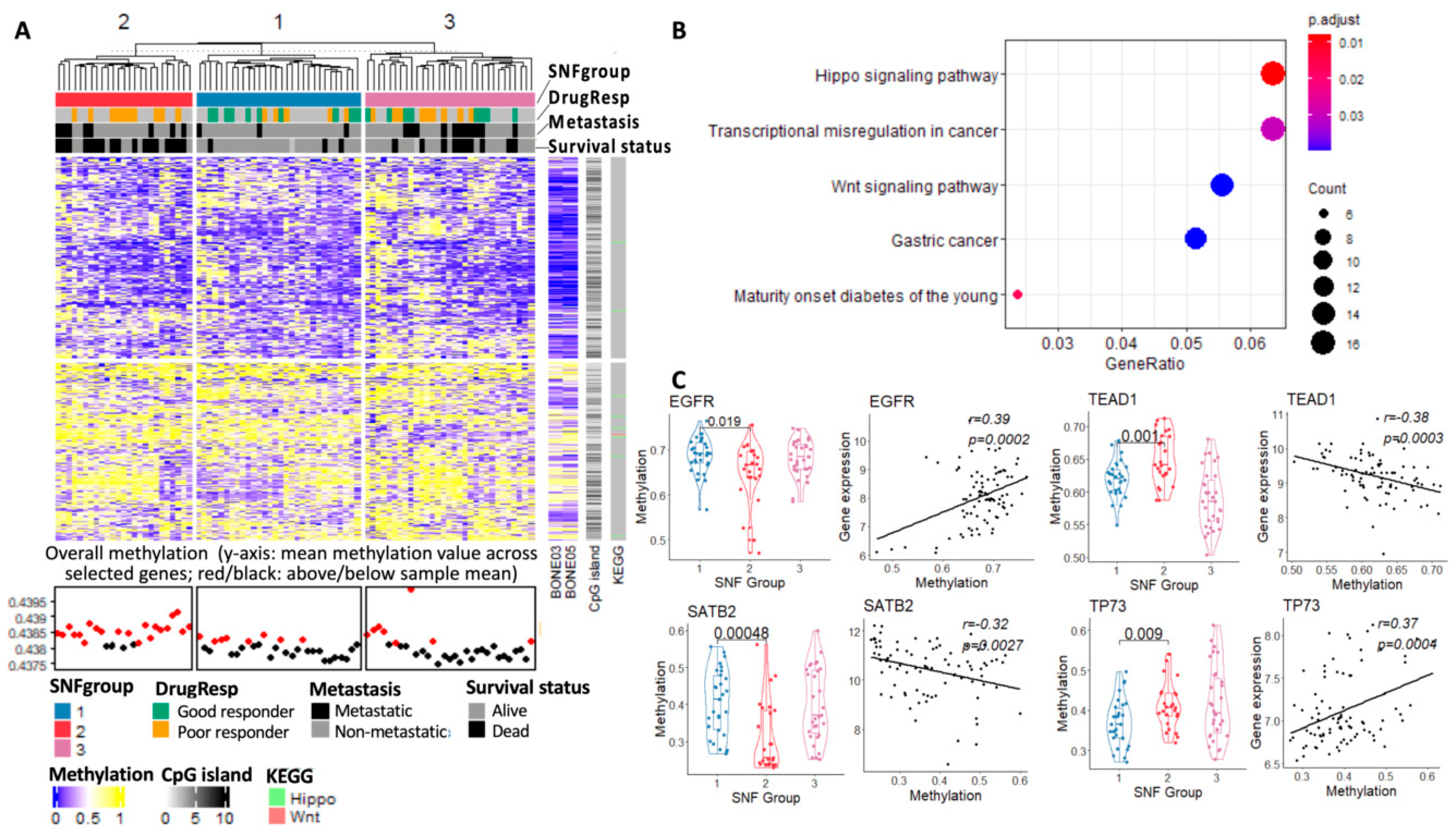 Cancers 15 04970 g006