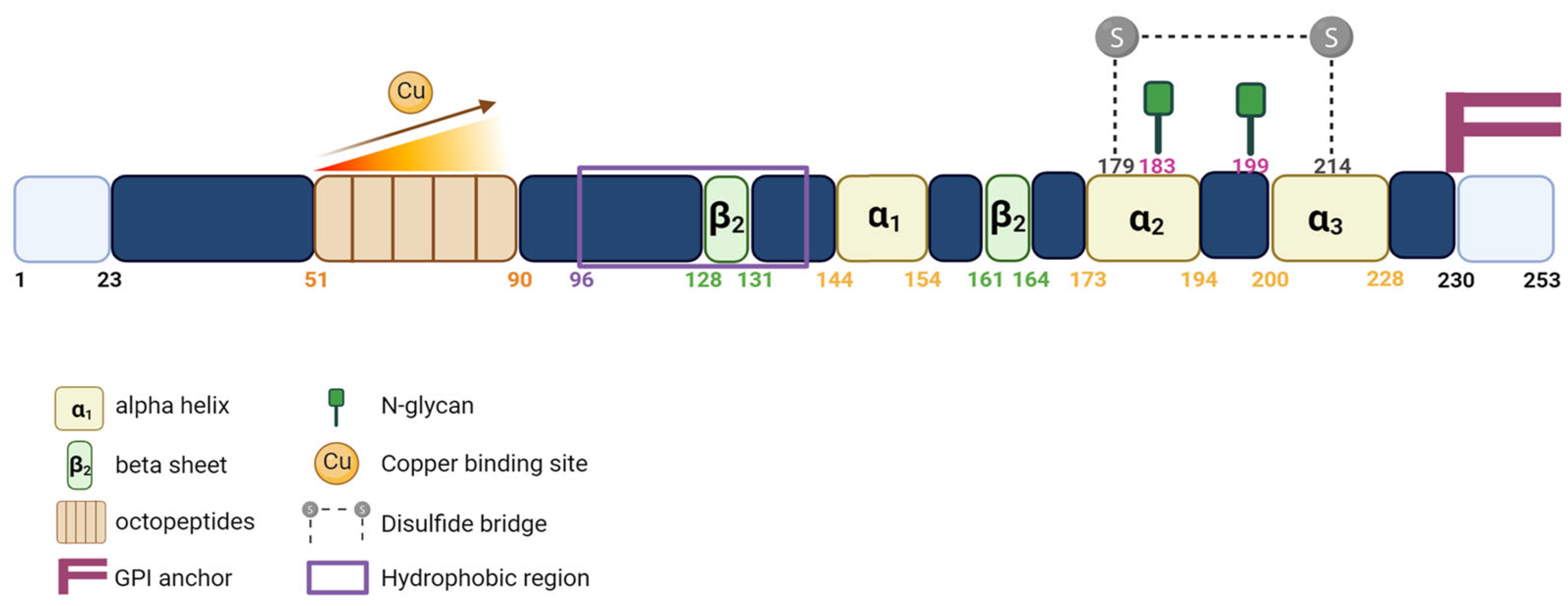 Cancers 15 04982 g002