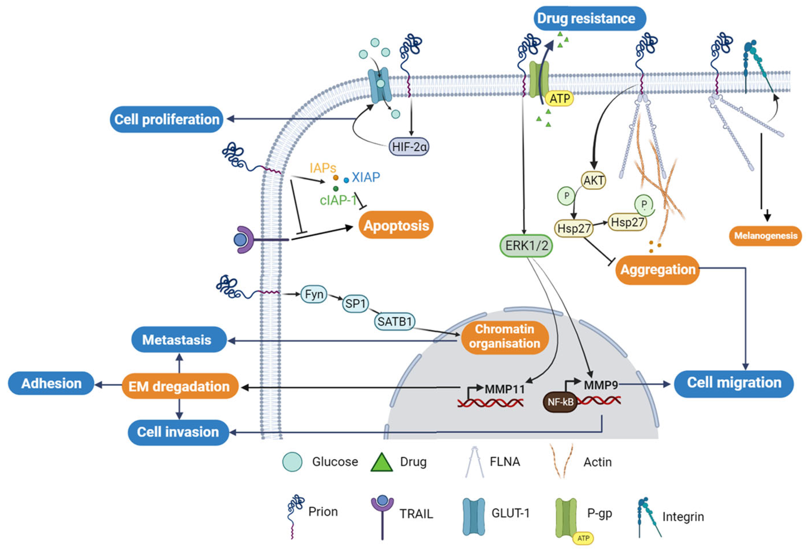 Cancers 15 04982 g003