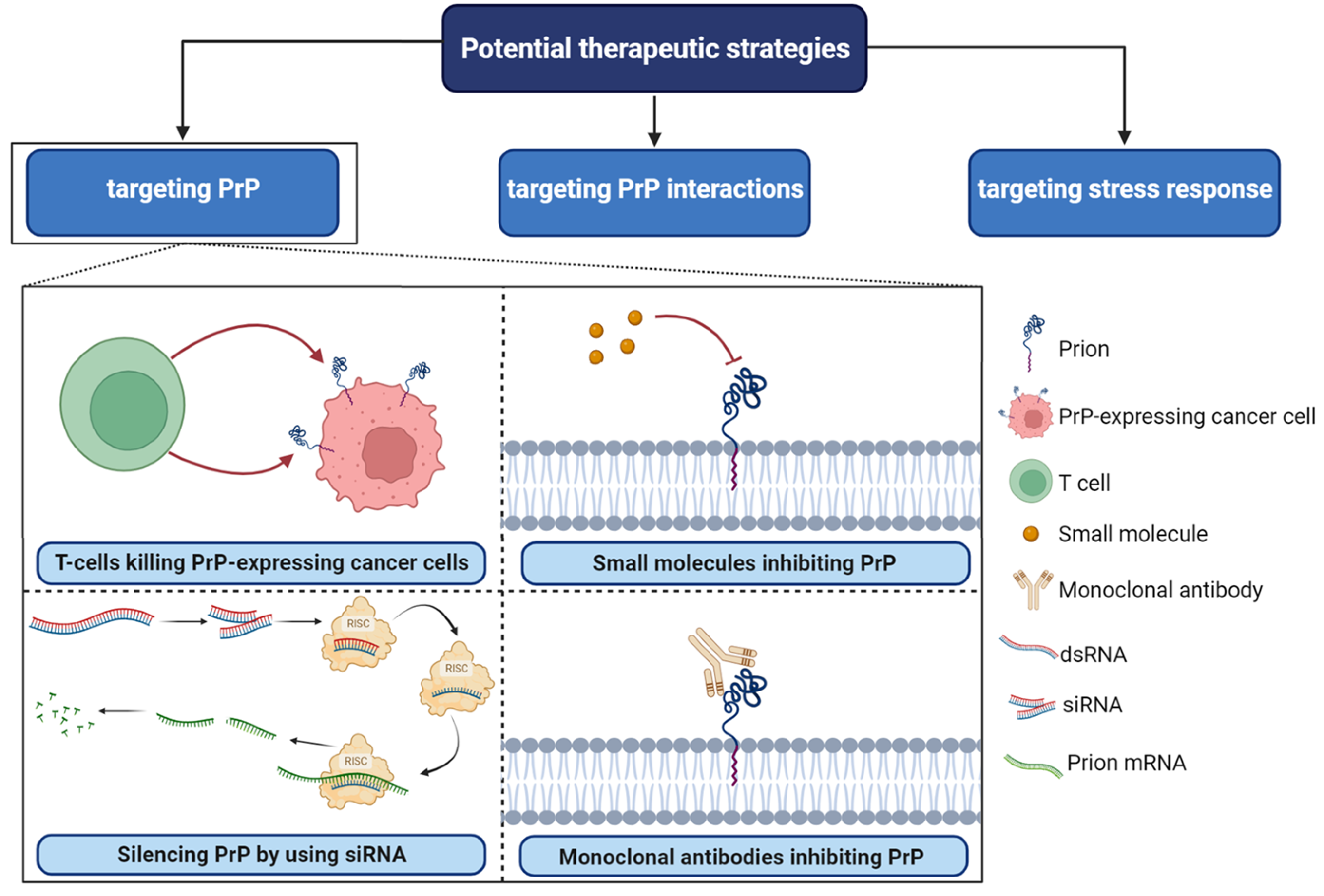 Cancers 15 04982 g004