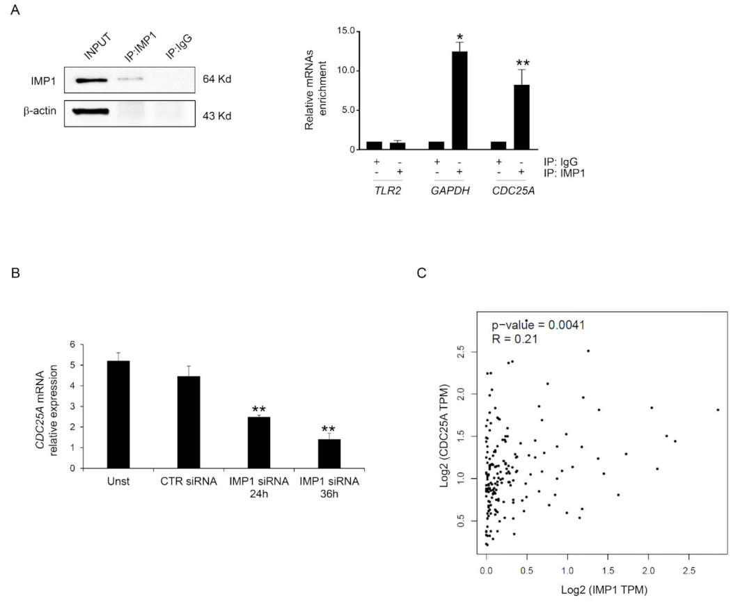 Cancers 15 04983 g004