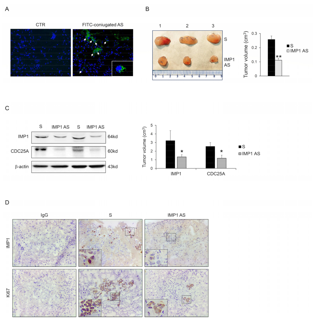 Cancers 15 04983 g005