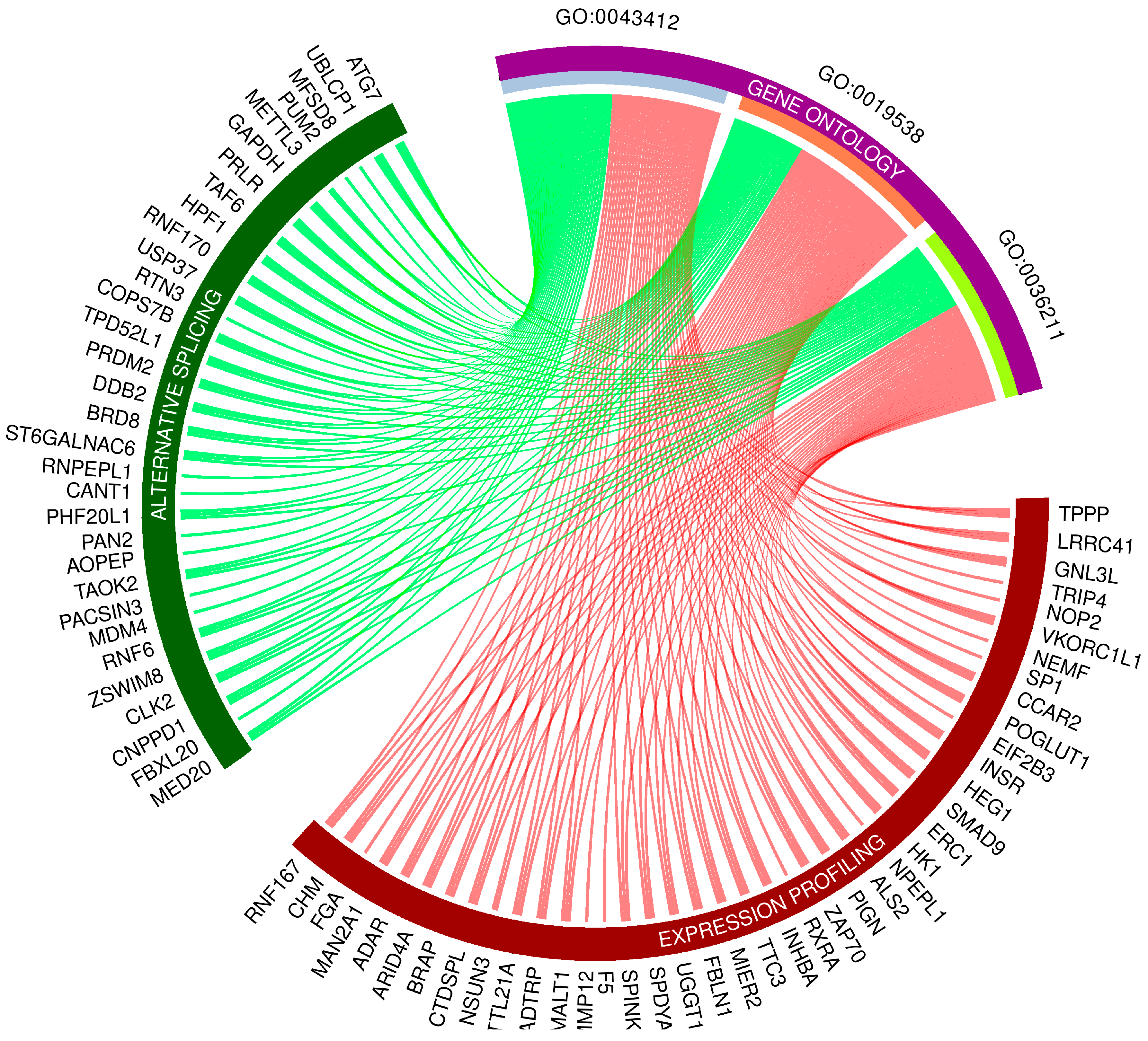 Cancers 15 05014 g006