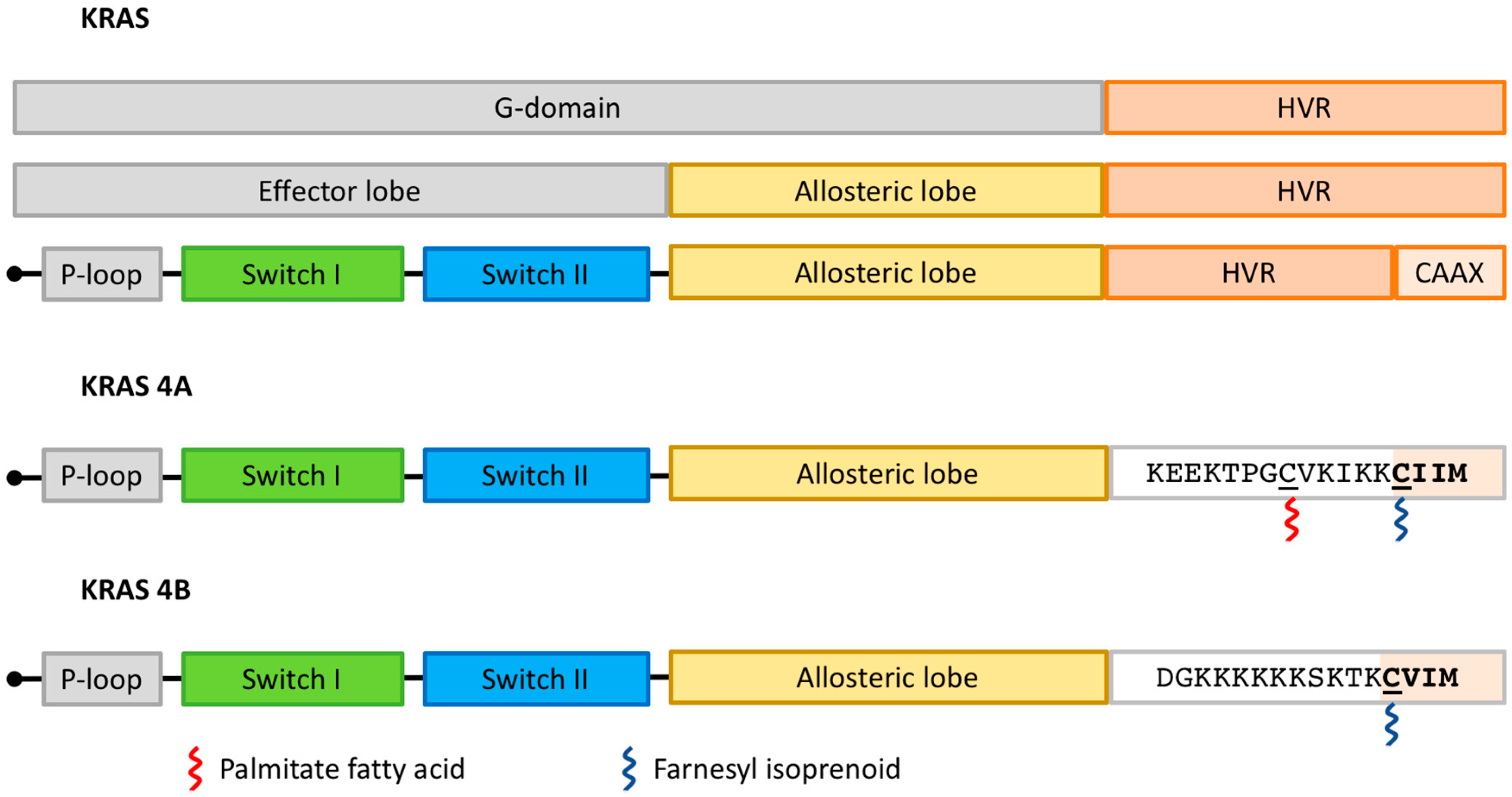 Cancers 15 05015 g002 Cancers 15 05015 g002