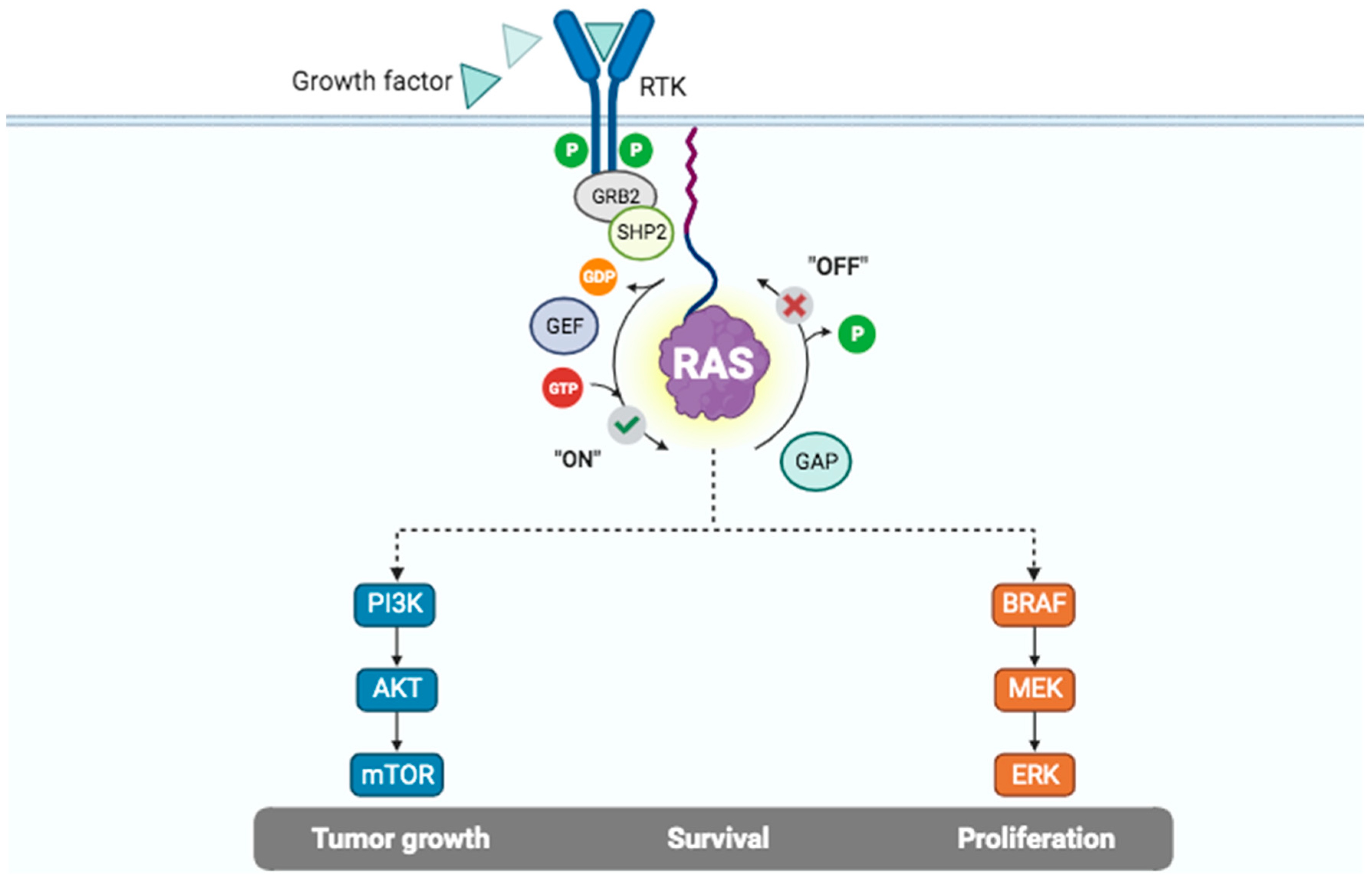 Cancers 15 05015 g003 Cancers 15 05015 g003