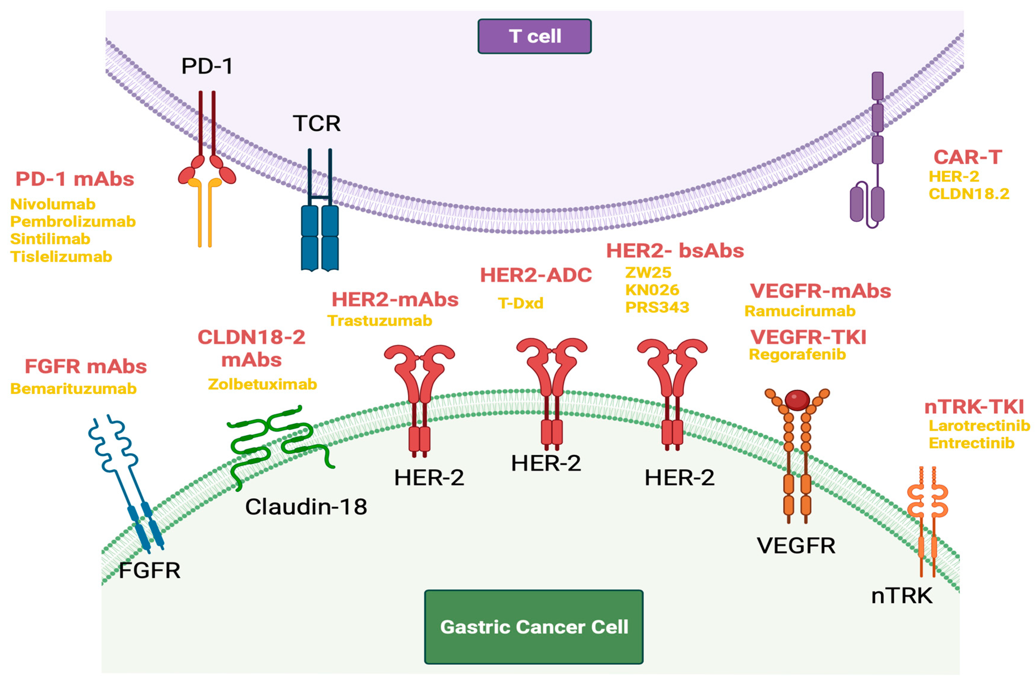 Cancers 15 05075 g004