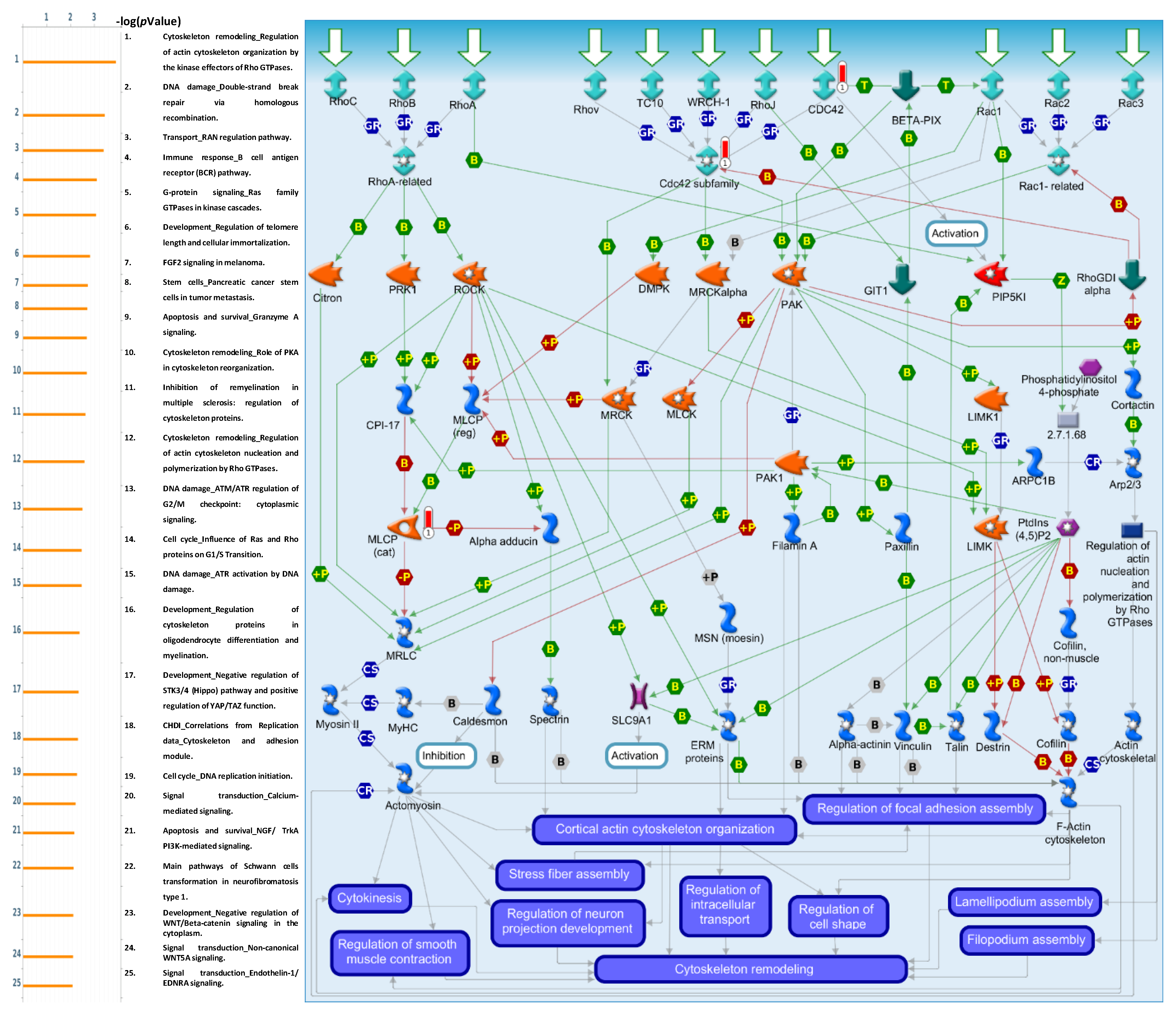 Cancers 15 05112 g010