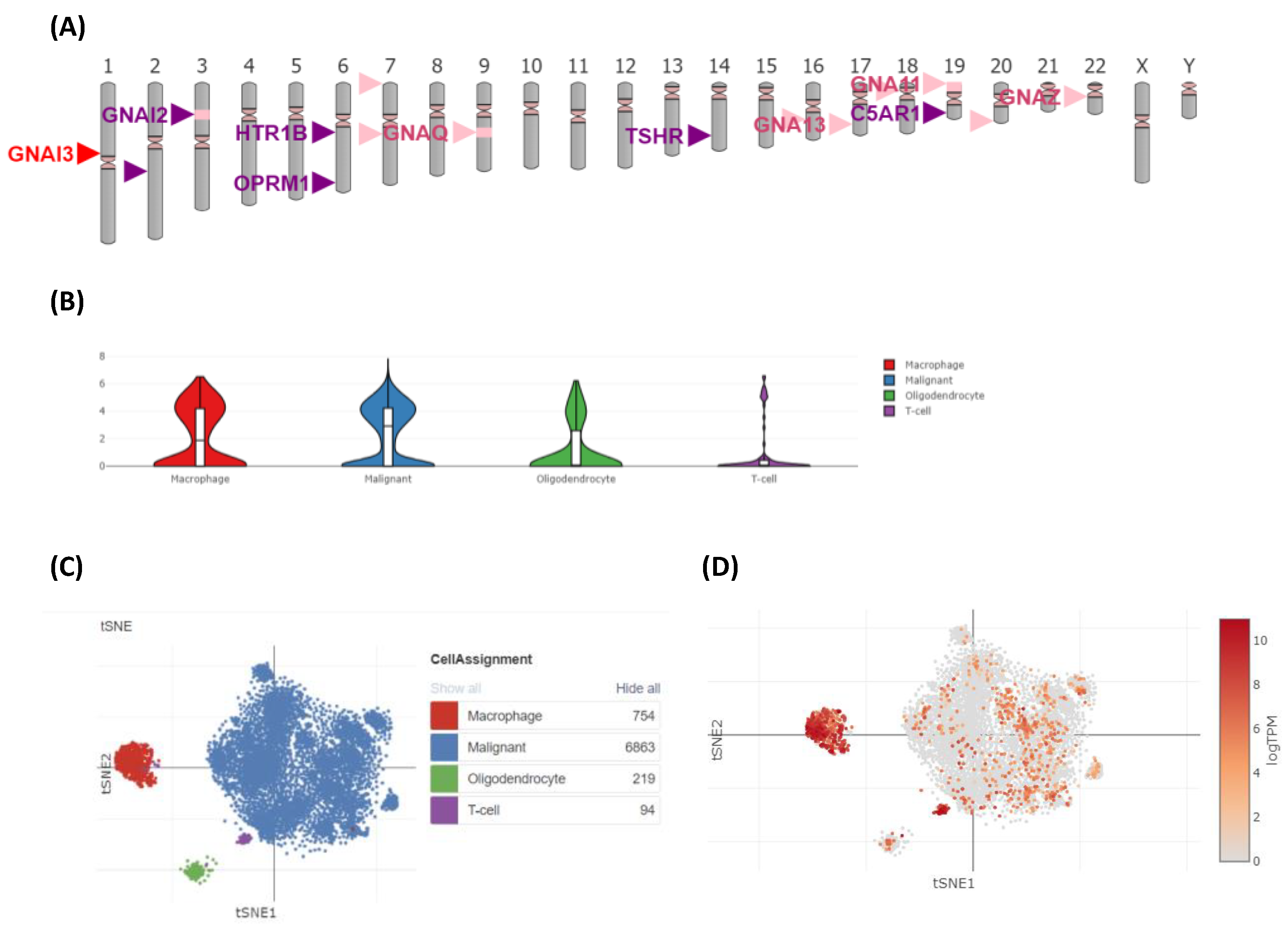 Cancers 15 05112 g012