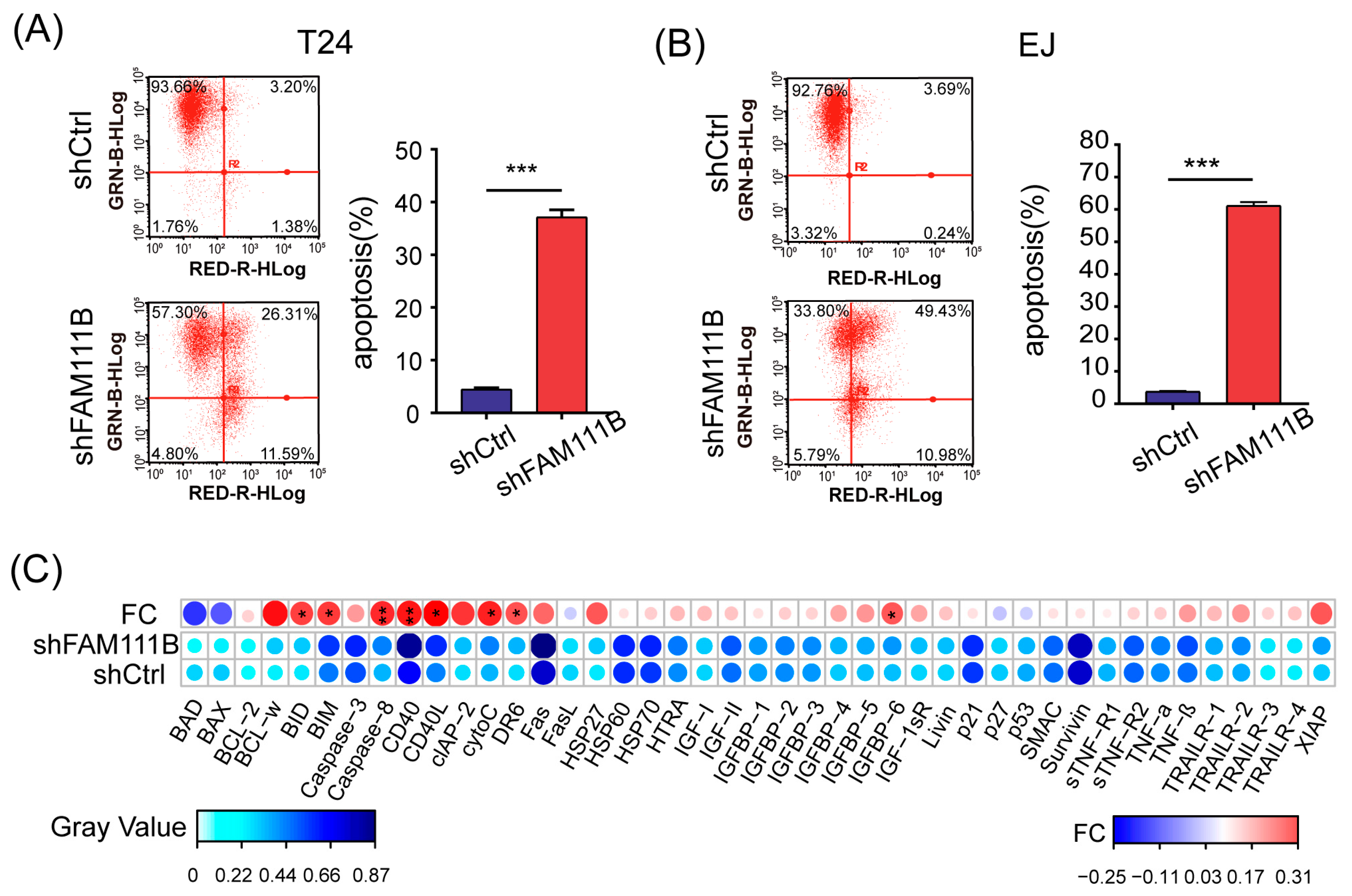 Cancers 15 05122 g004