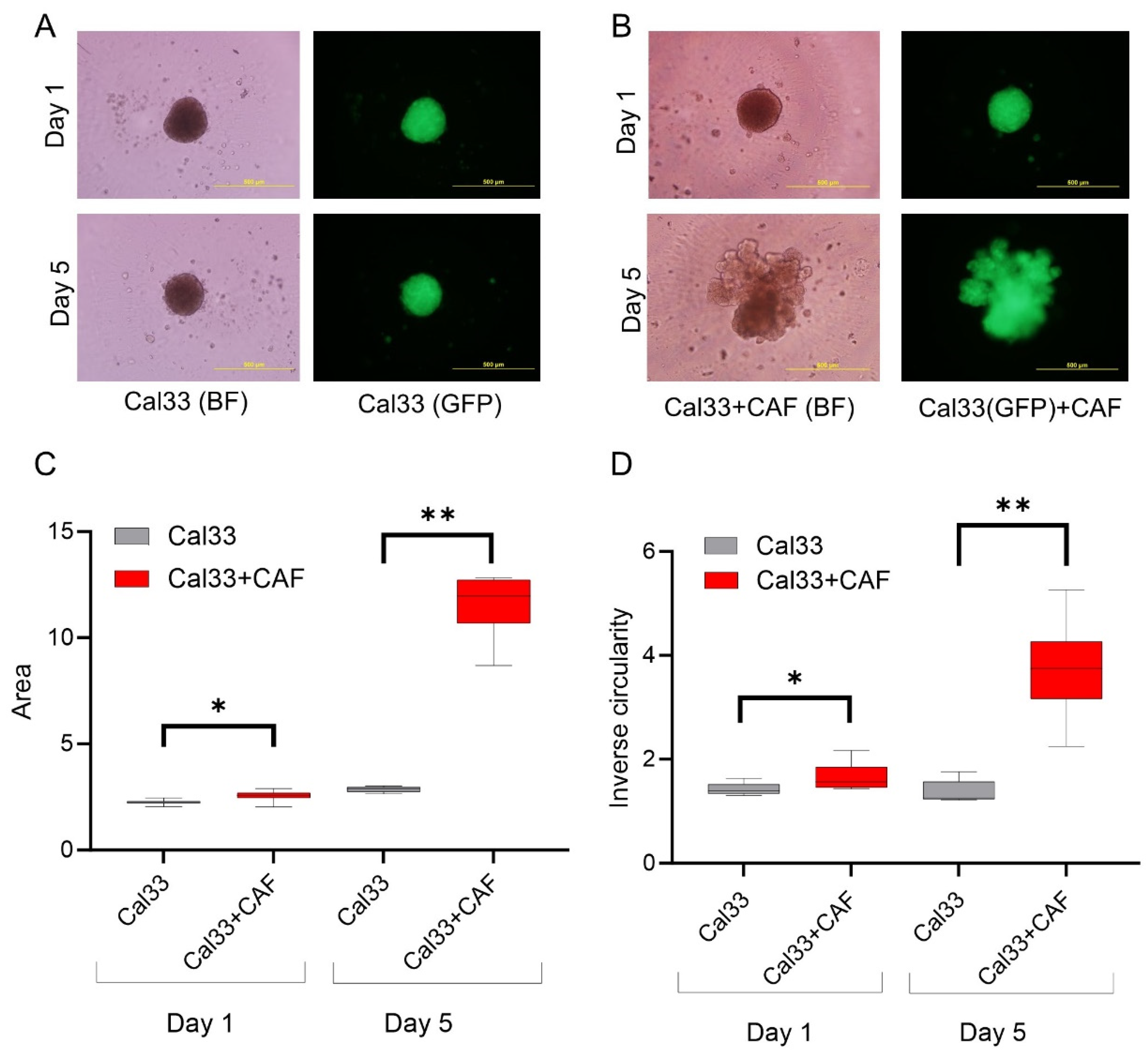 Cancers 15 05168 g002 Cancers 15 05168 g002