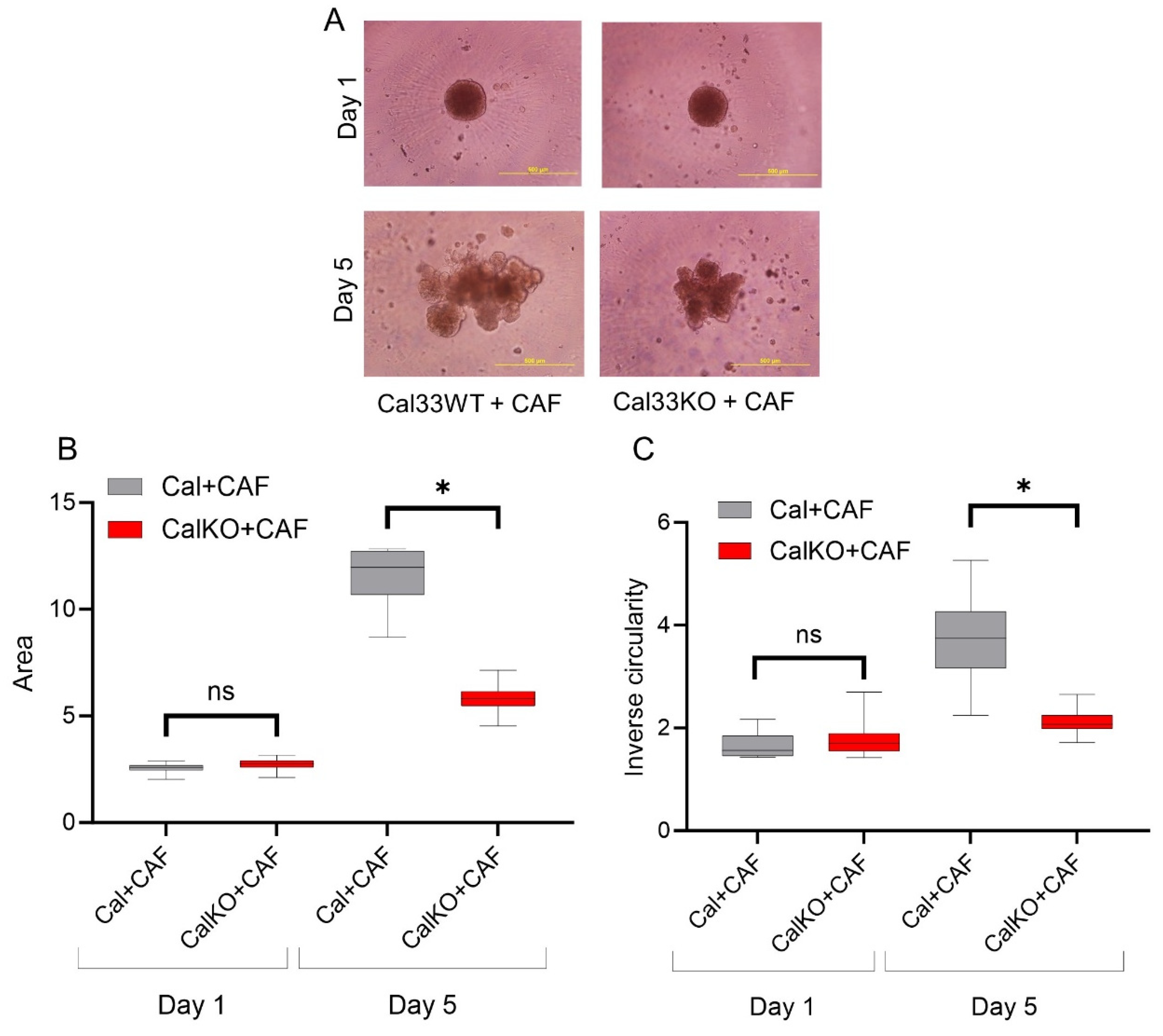 Cancers 15 05168 g004 Cancers 15 05168 g004