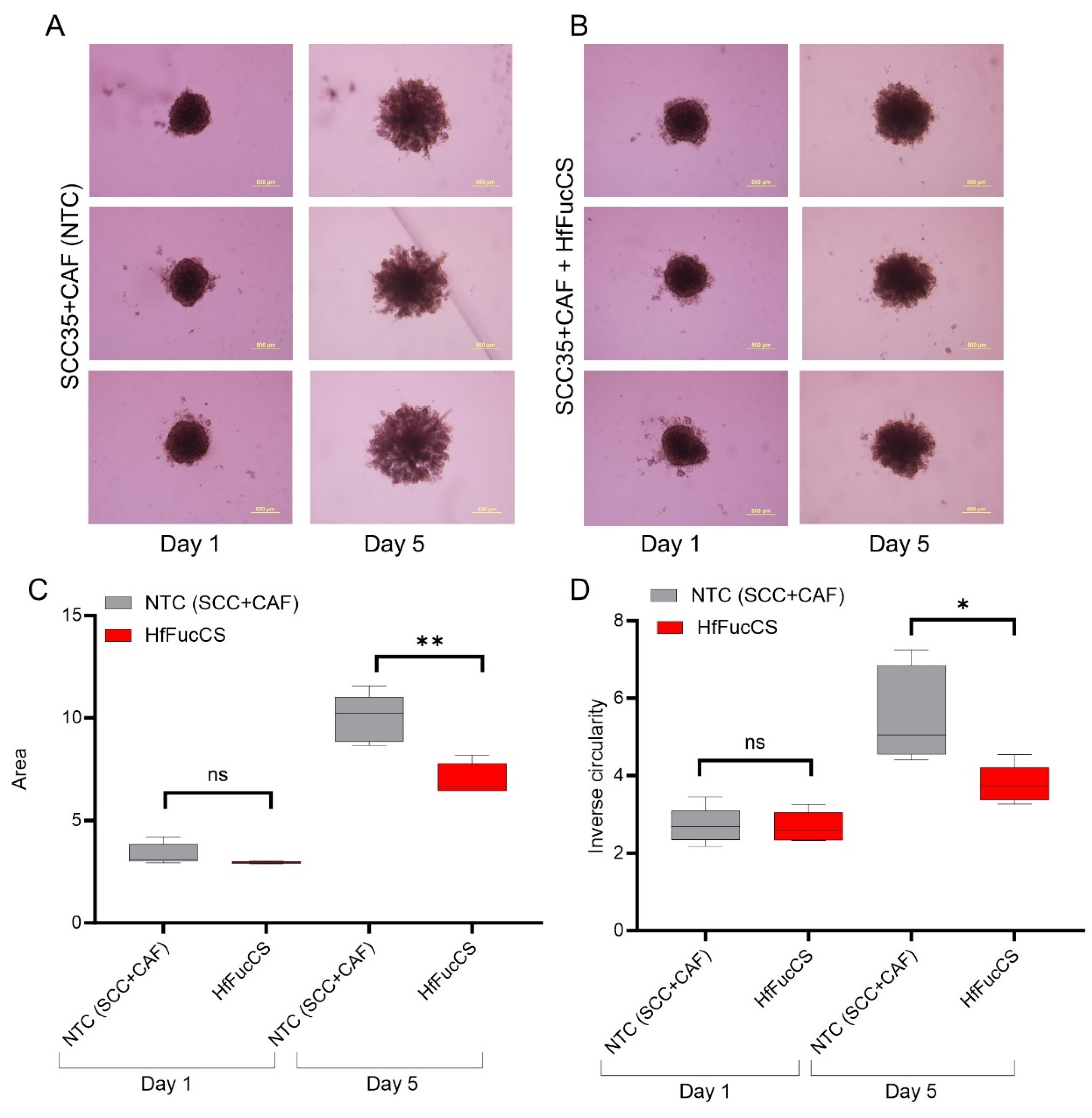 Cancers 15 05168 g006 Cancers 15 05168 g006