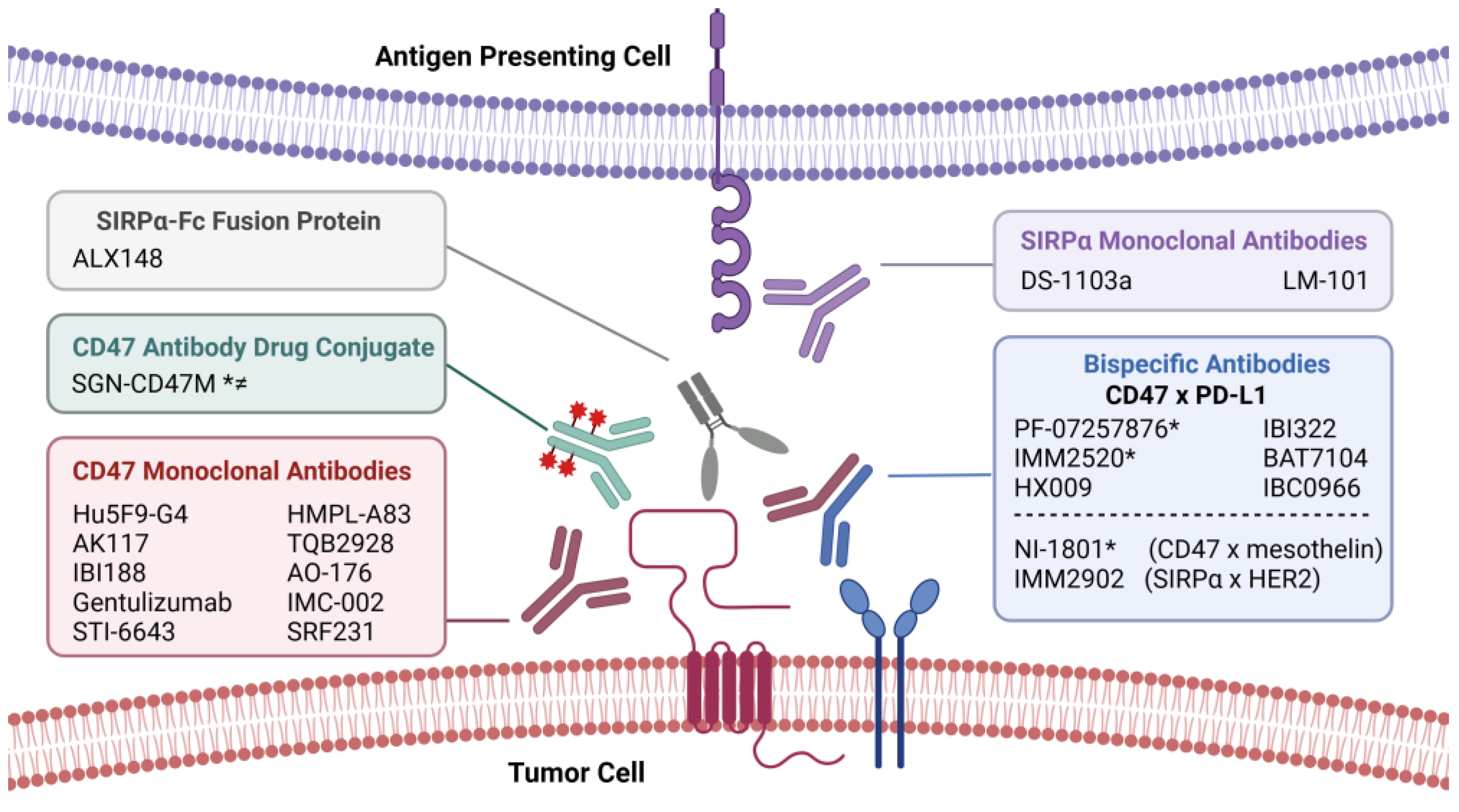 Cillit 012027AA IMMUNO + F COMPACT BY-PASS apparecchio