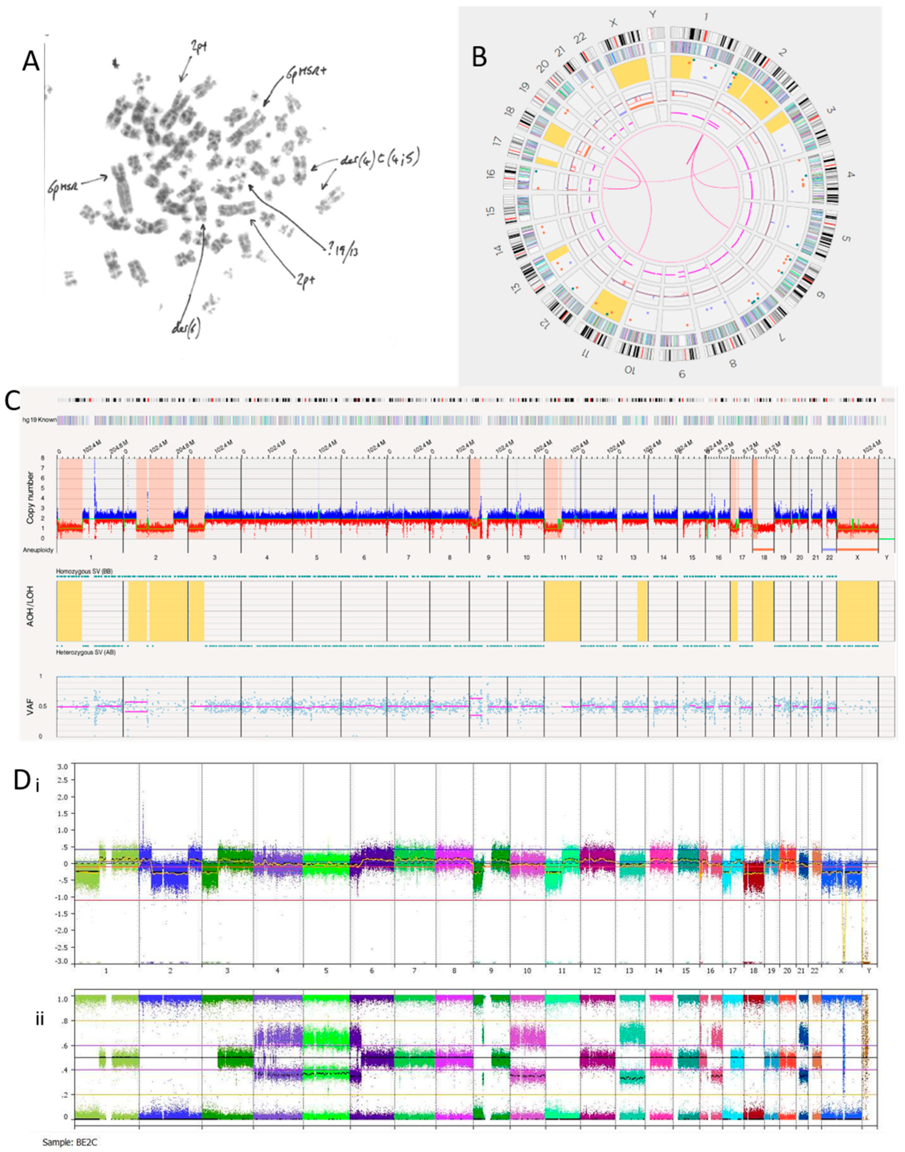 Cancers 15 05233 g004