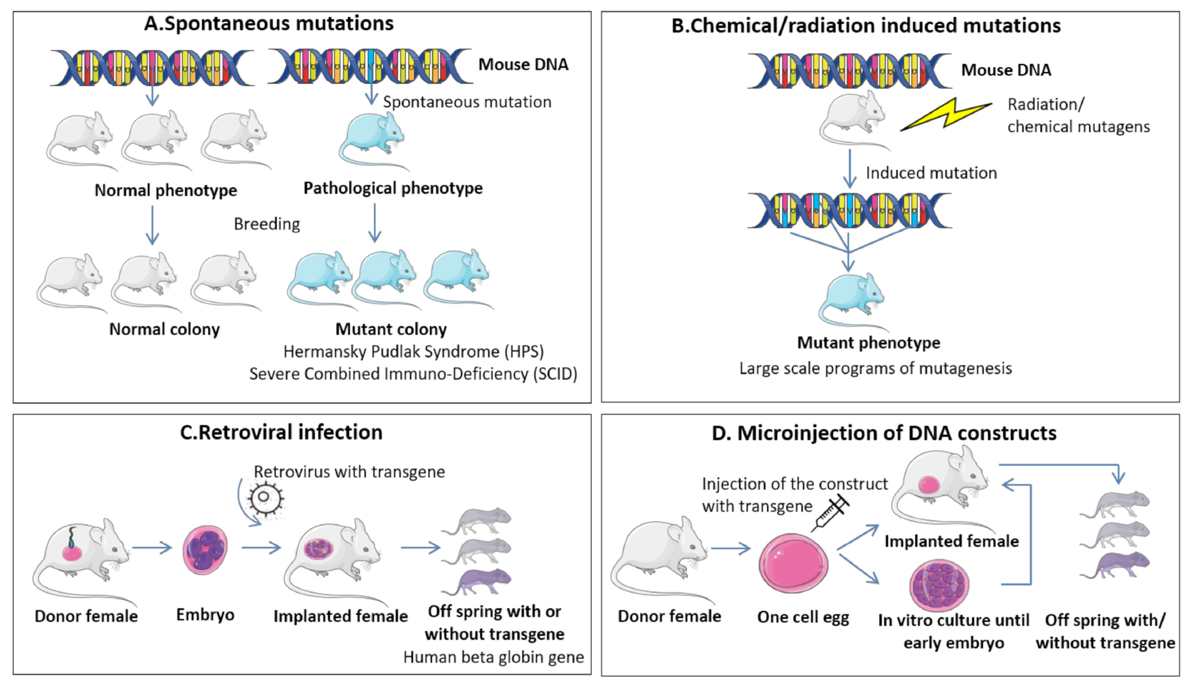 Cancers 15 05269 g007 Cancers 15 05269 g007