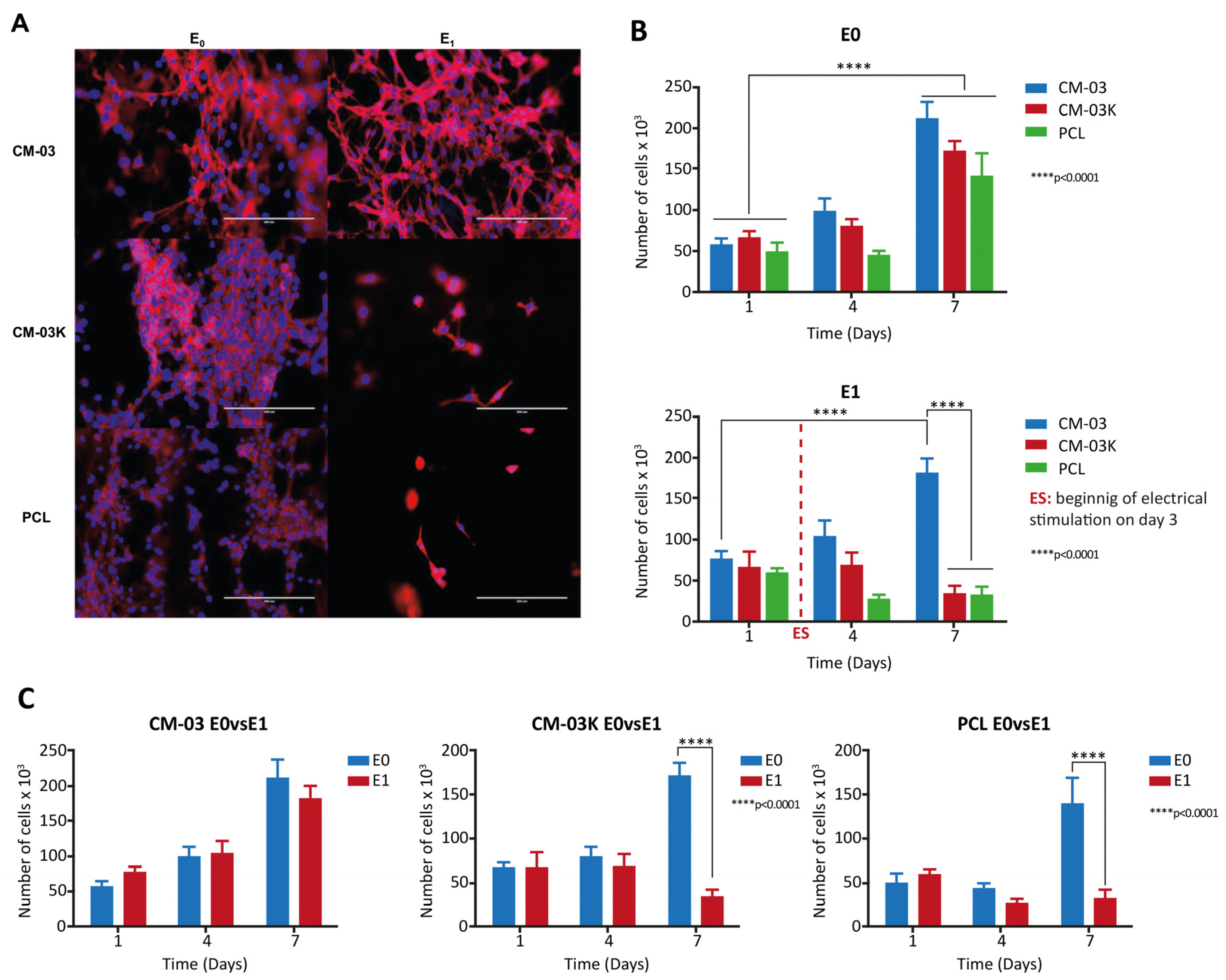 Cancers 15 05269 g014 Cancers 15 05269 g014