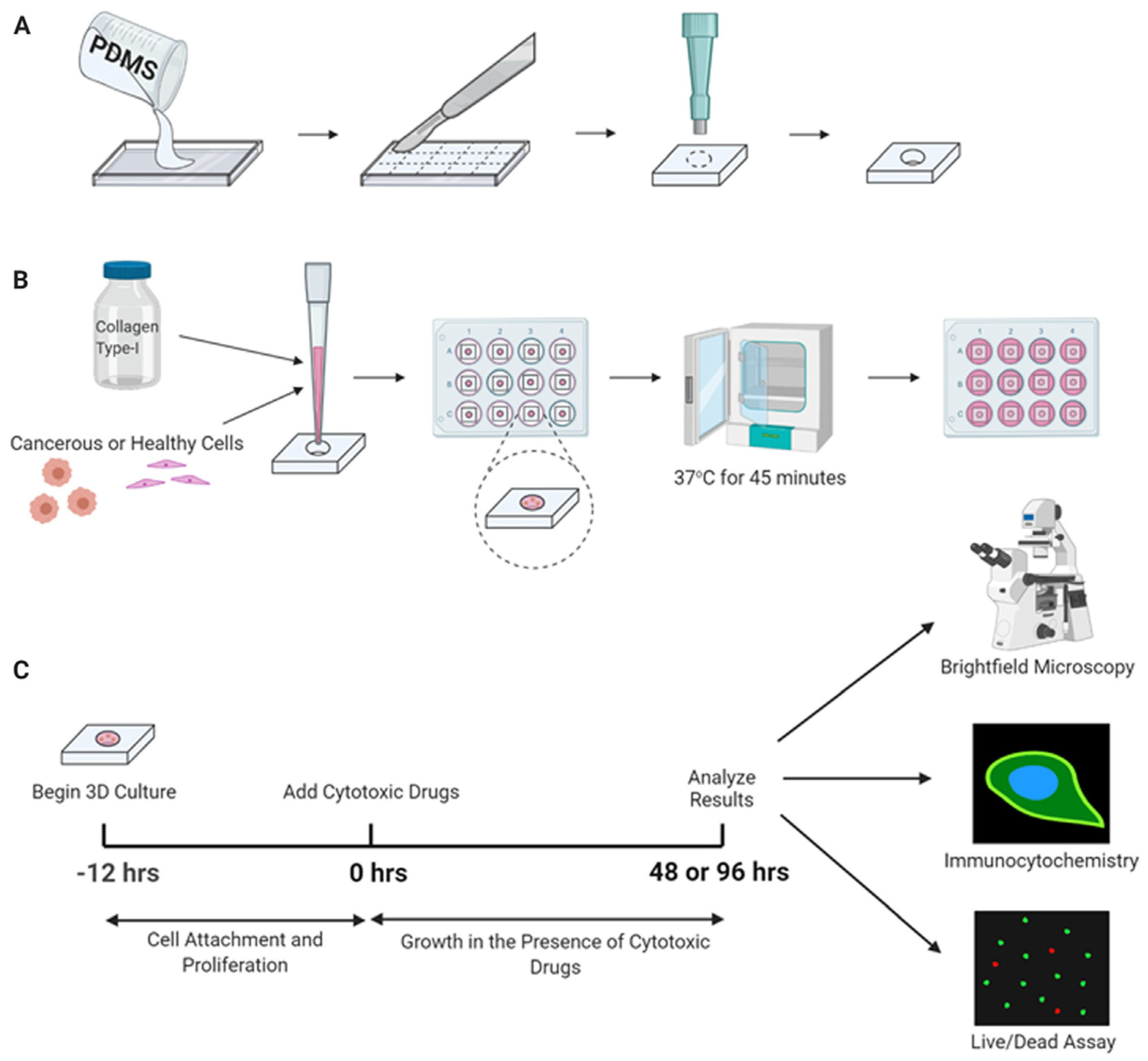 Cancers 15 05269 g019 Cancers 15 05269 g019