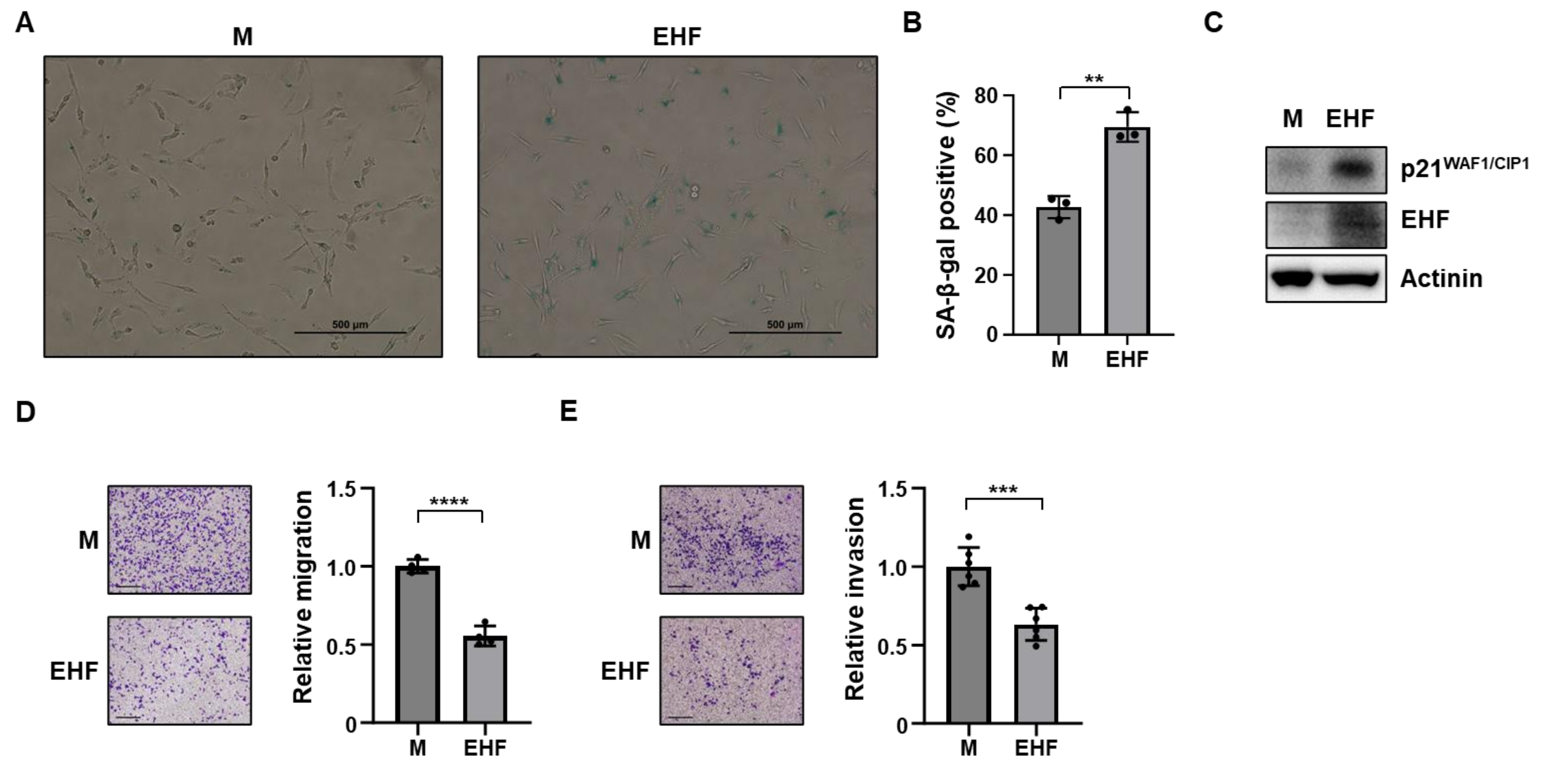 Cancers 15 05270 g003