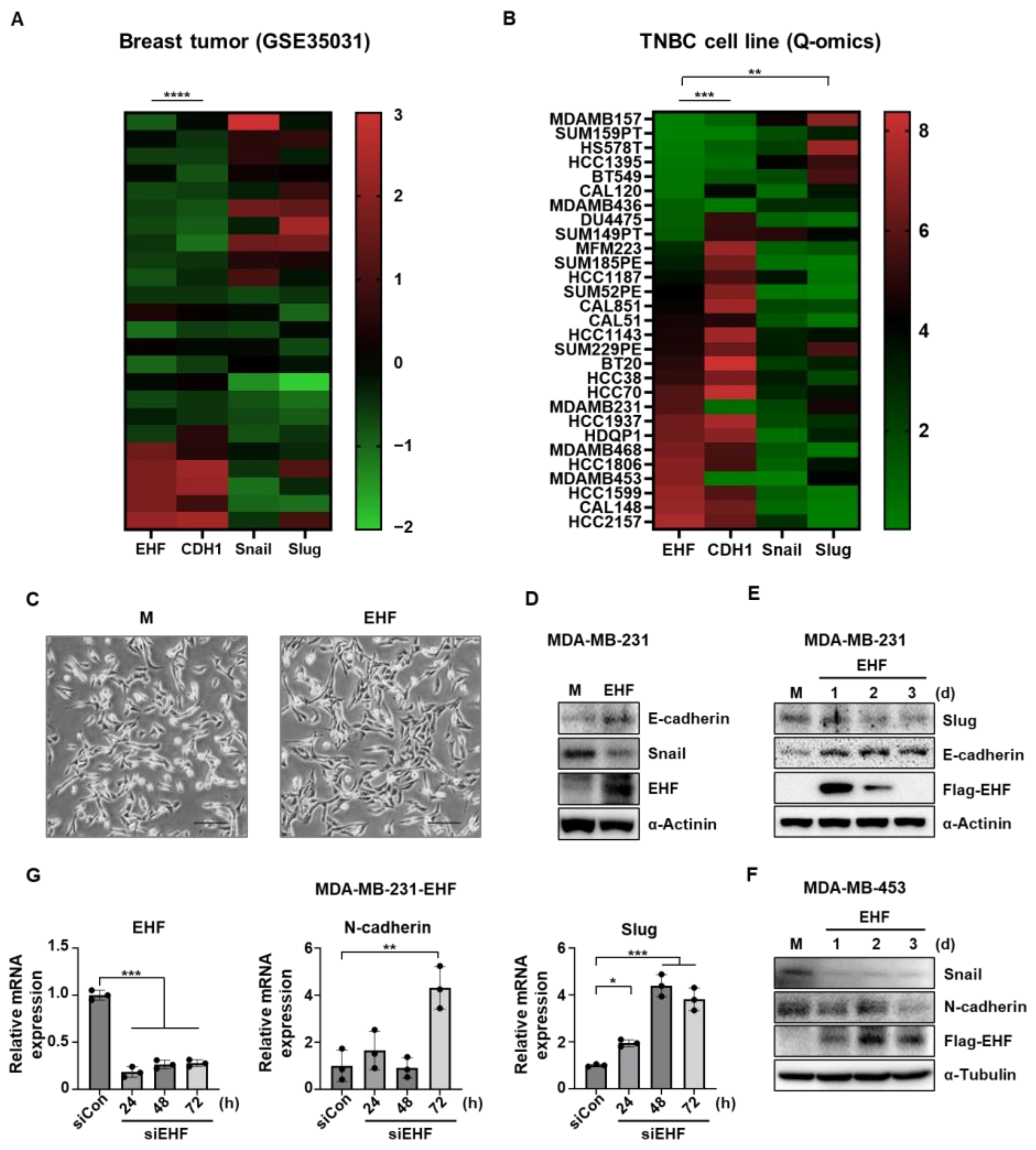 Cancers 15 05270 g004