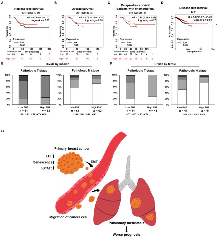 Cancers 15 05270 g008