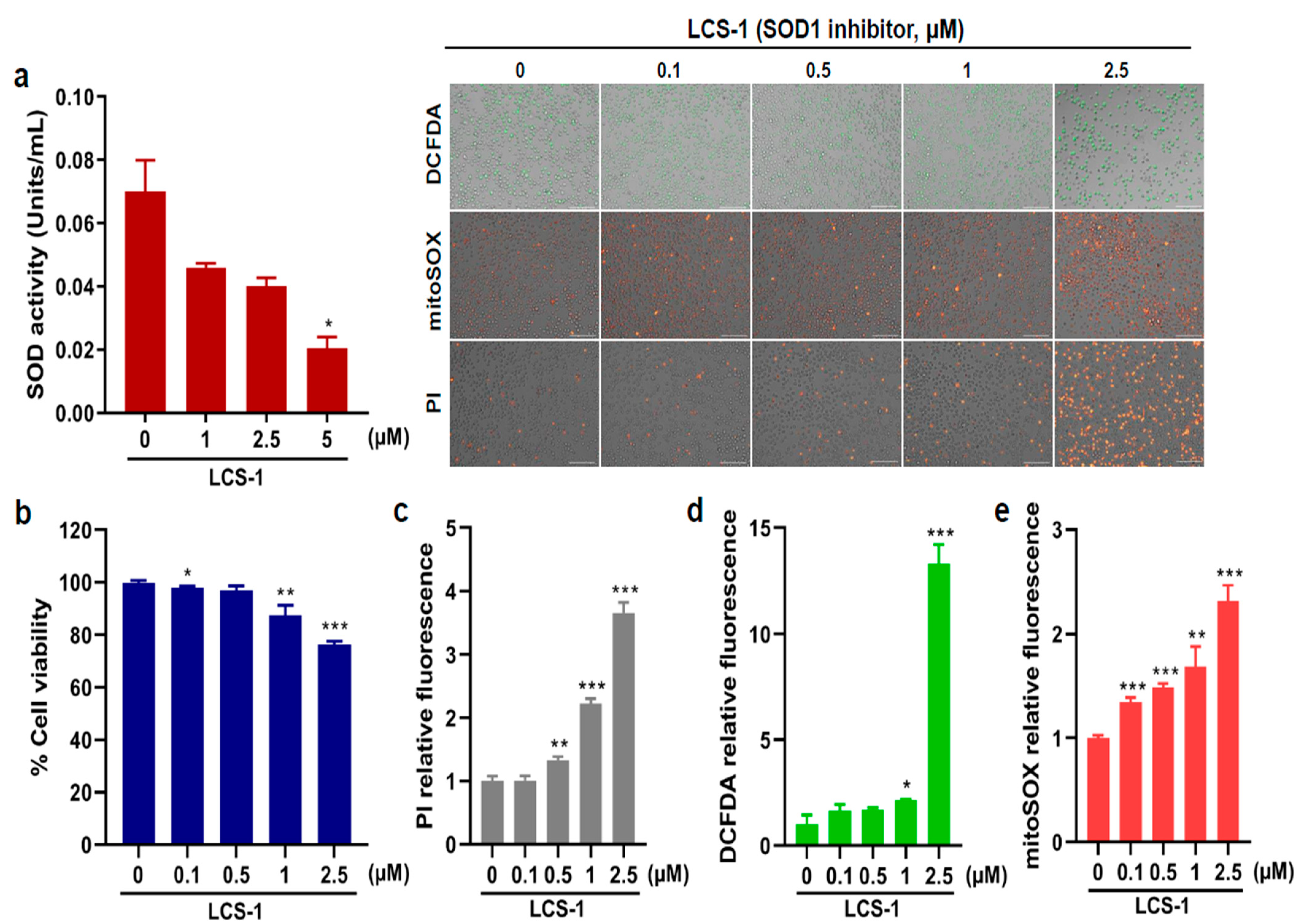 Cancers 15 05289 g004