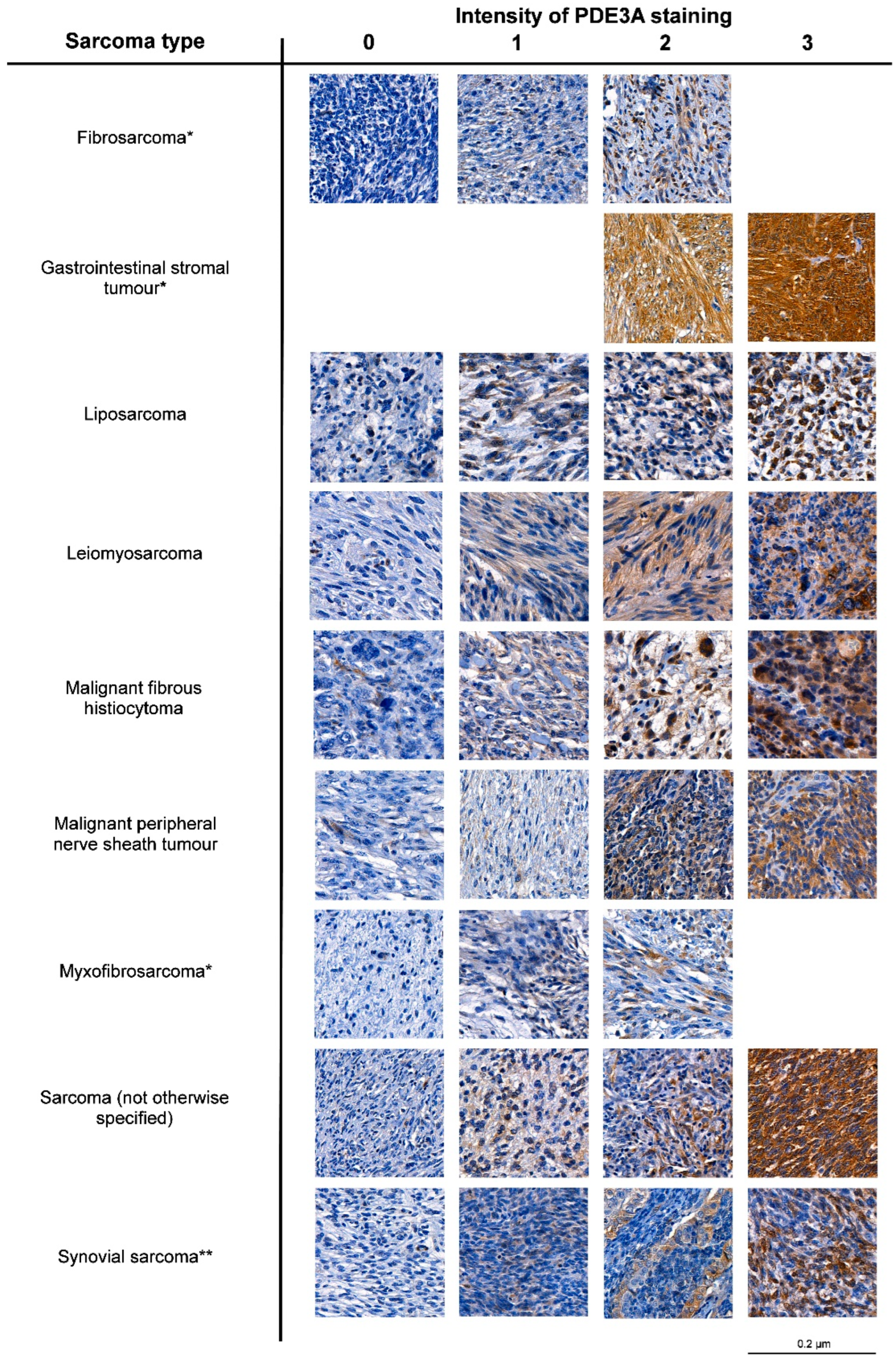 Cancers 15 05308 g002