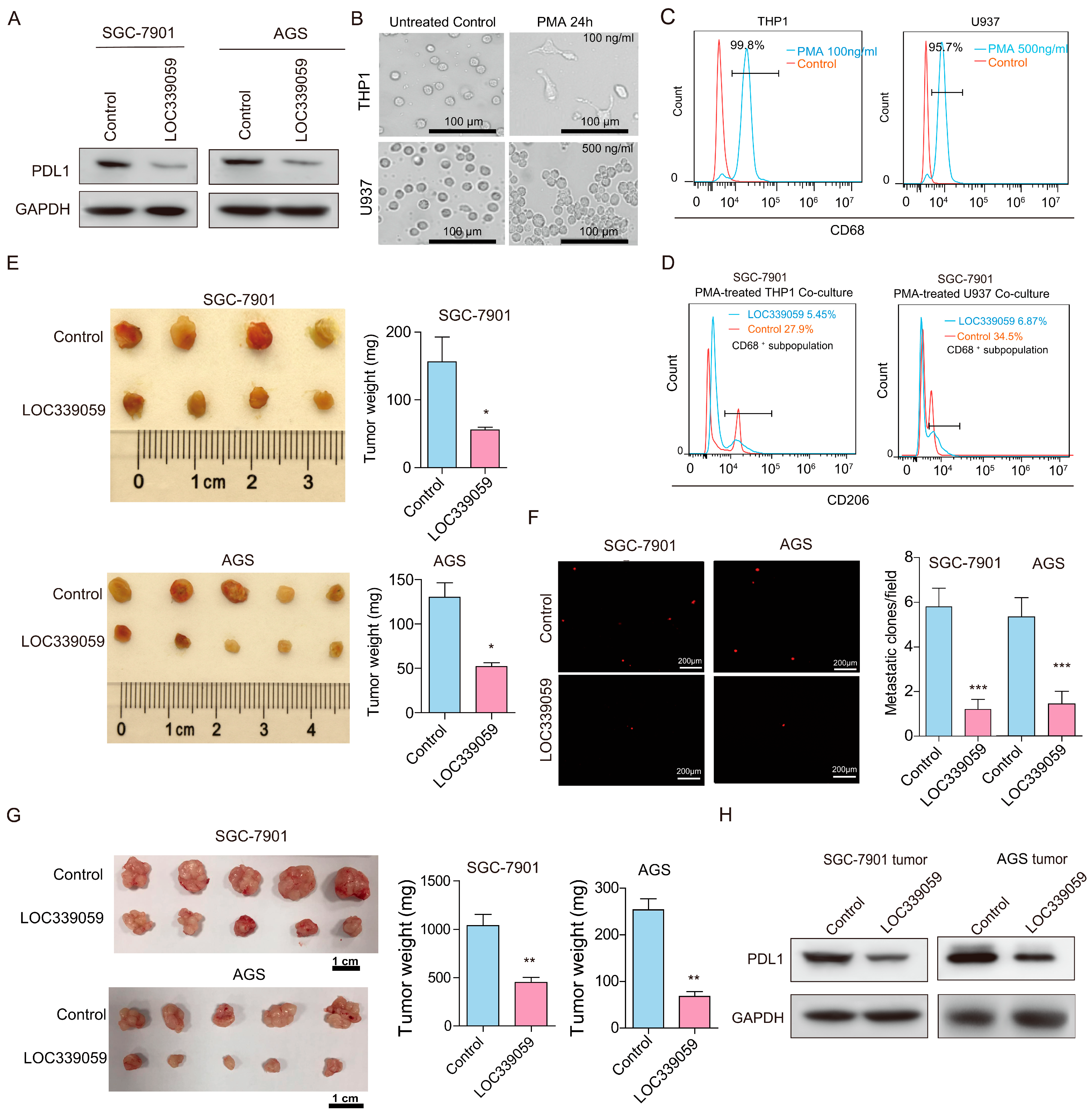 Cancers 15 05313 g003