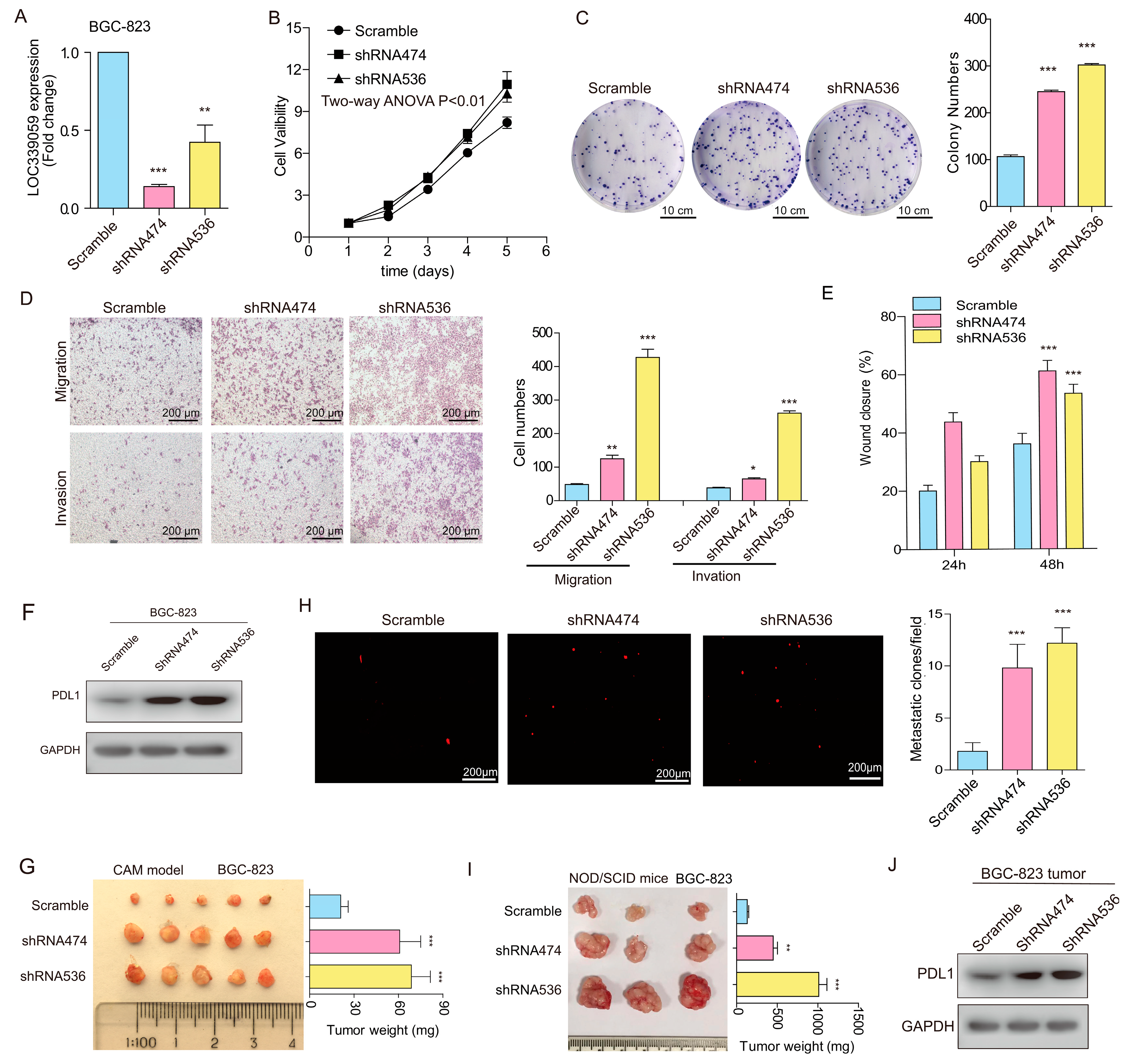 Cancers 15 05313 g004