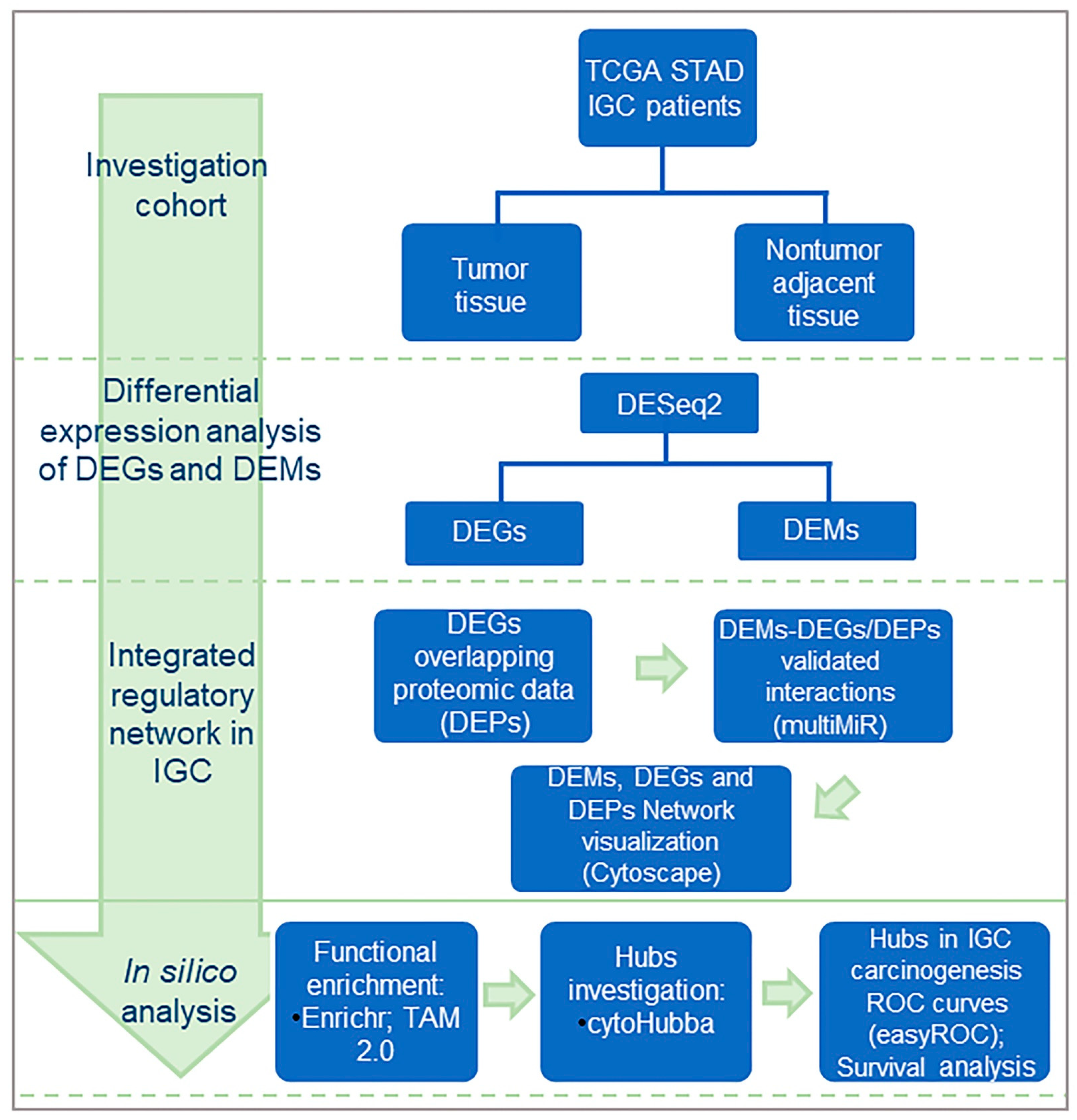 https://www.mdpi.com/cancers/cancers-15-05374/article_deploy/html/images/cancers-15-05374-g001.png