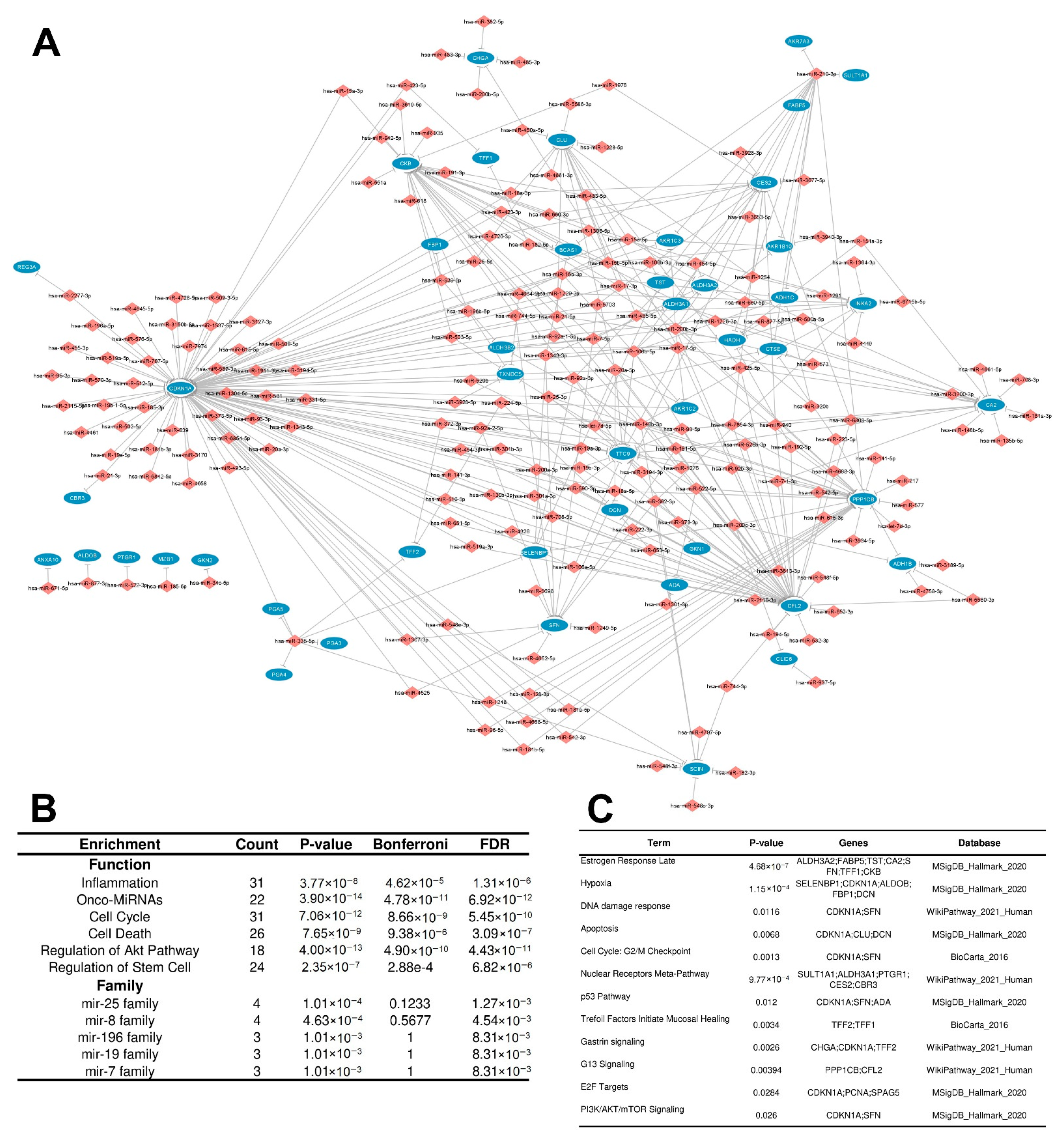 Cancers 15 05374 g004 Cancers 15 05374 g004