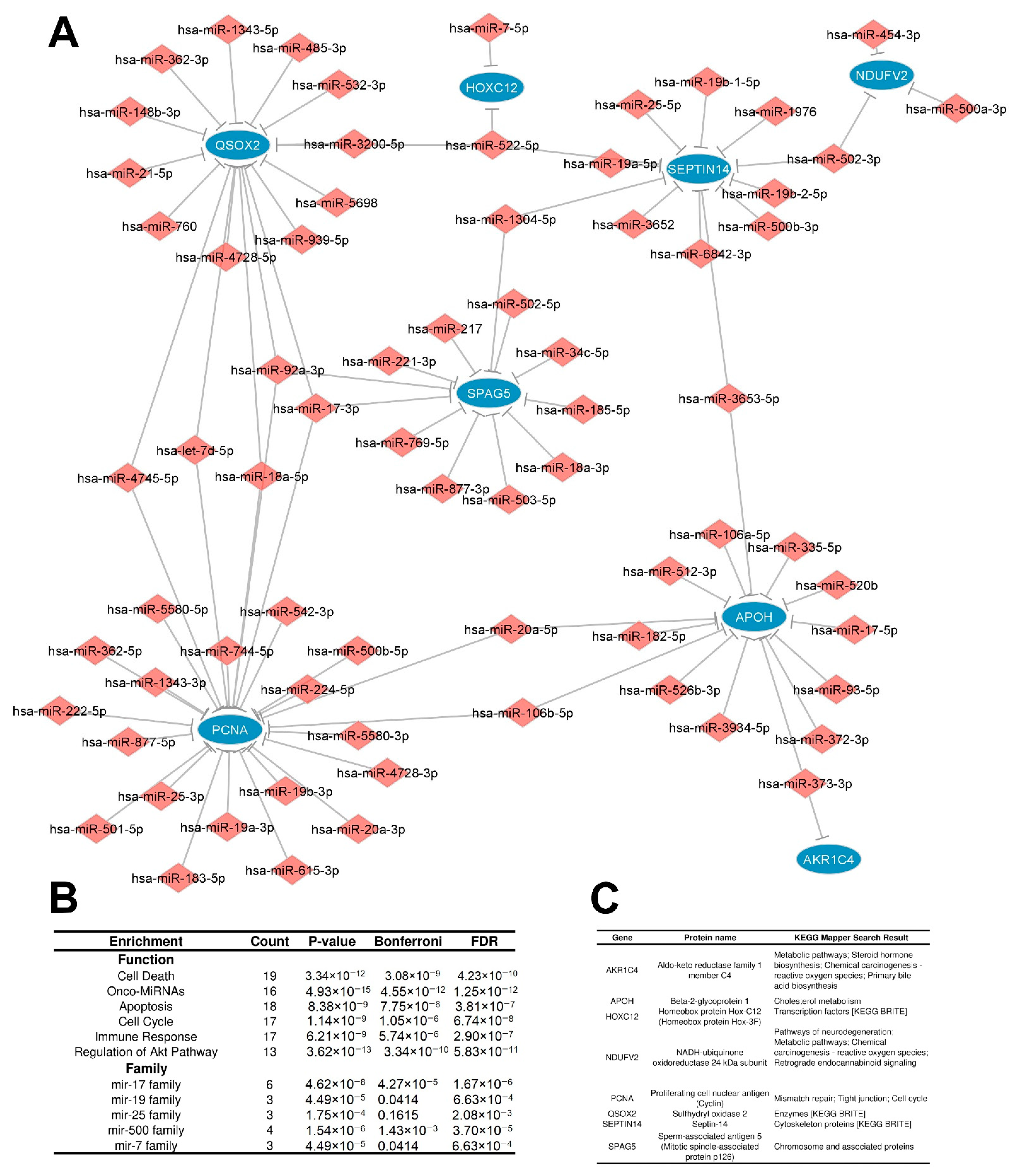 Cancers 15 05374 g005 Cancers 15 05374 g005