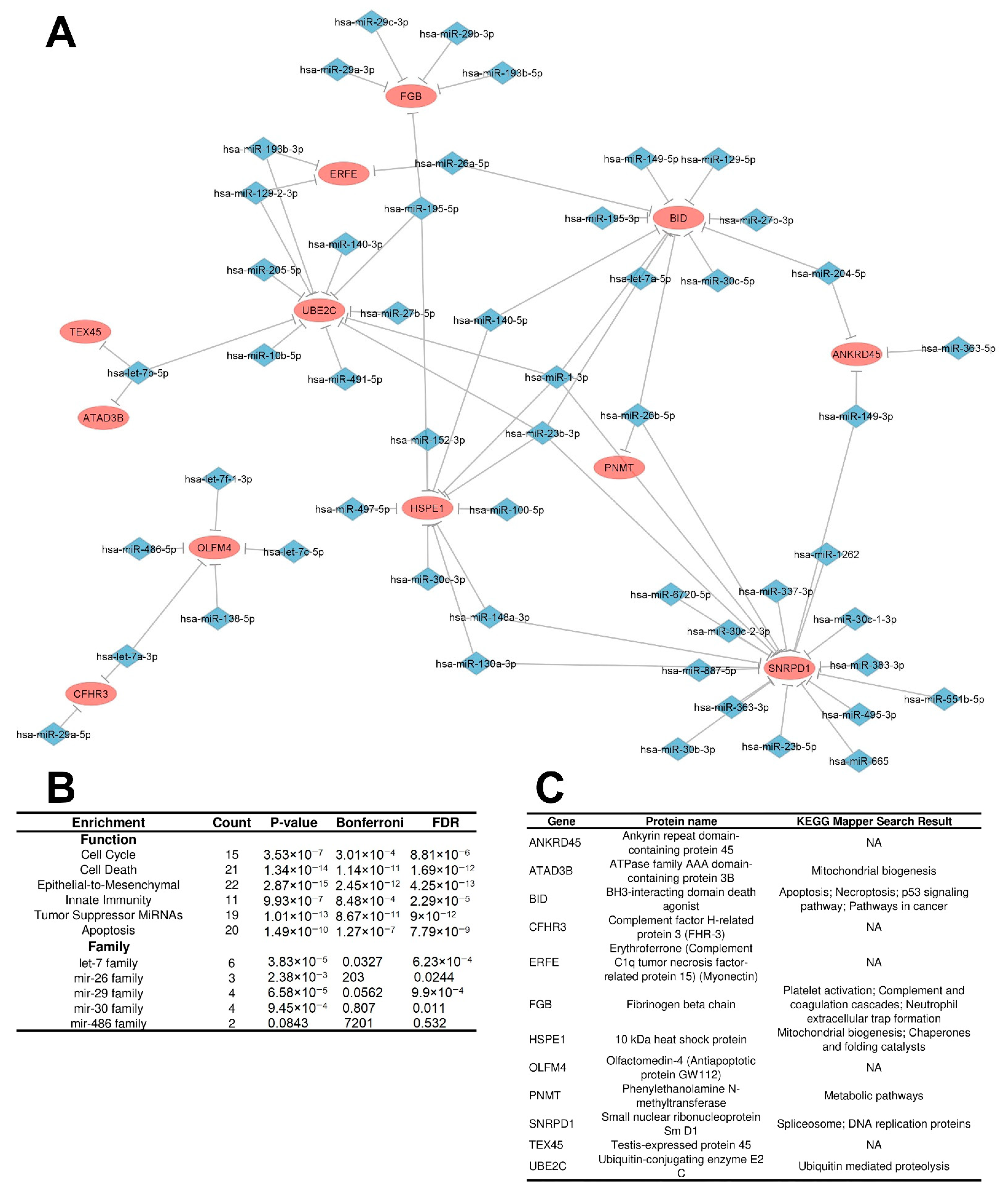 Cancers 15 05374 g006 Cancers 15 05374 g006
