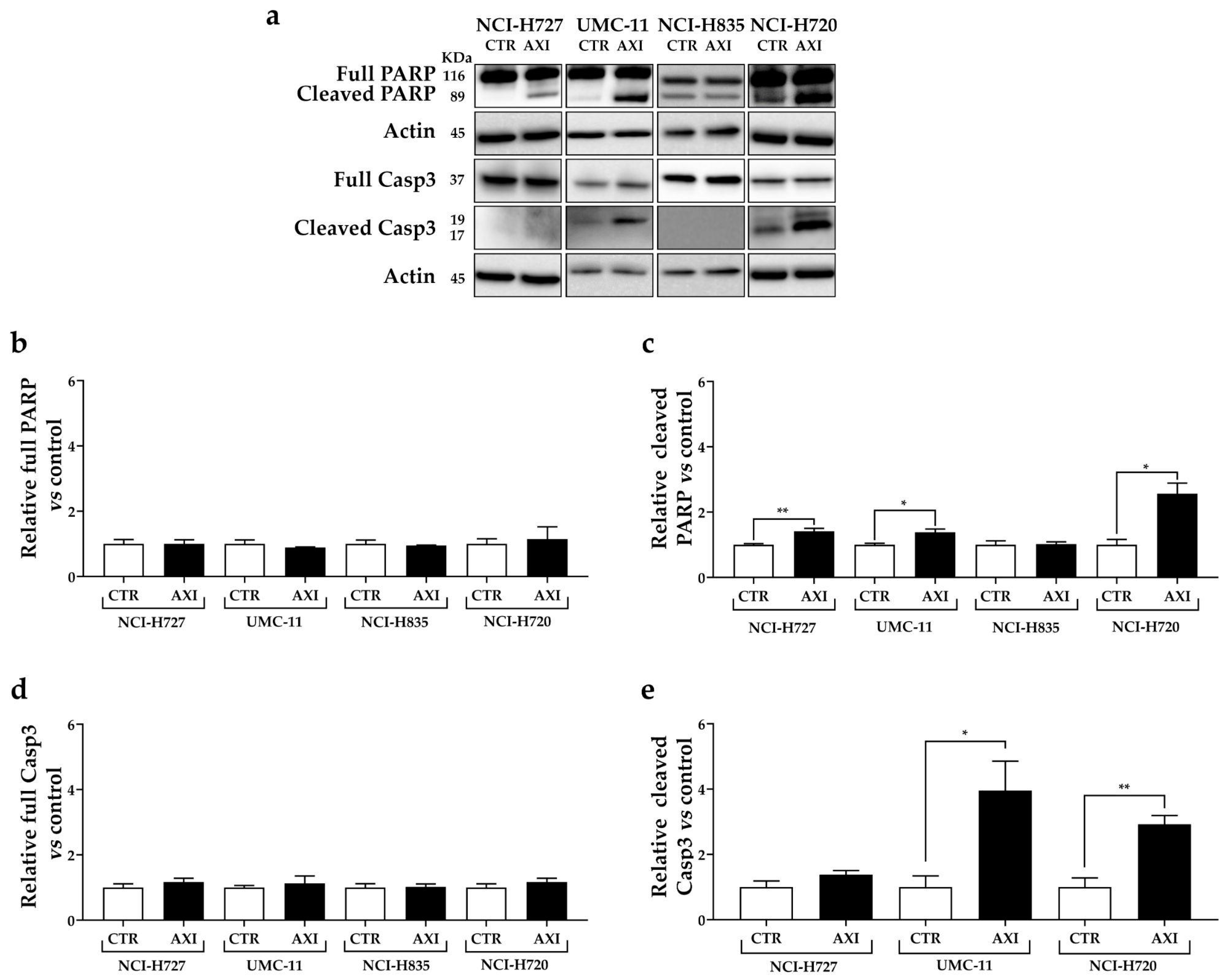 Cancers 15 05375 g004
