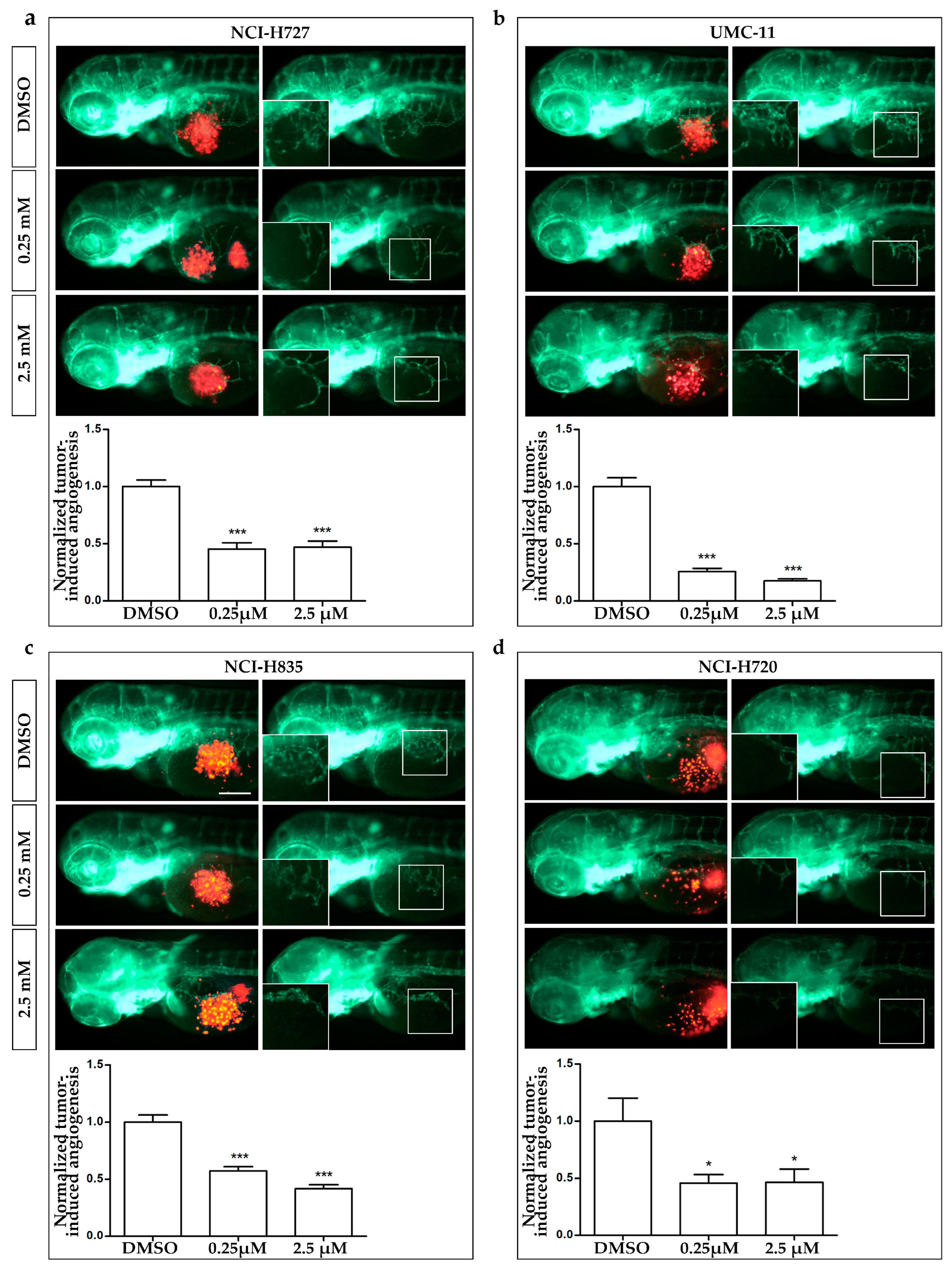 Cancers 15 05375 g005