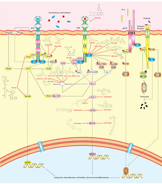 Cancers Free Full Text Overcoming Immune Checkpoint Therapy