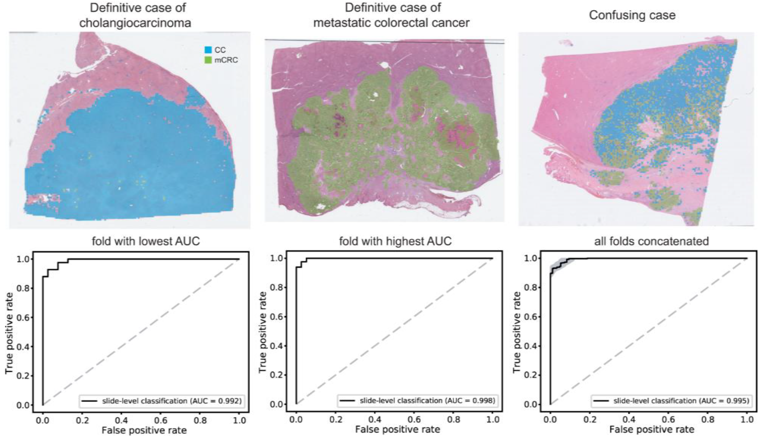 Cancers 15 05389 g004