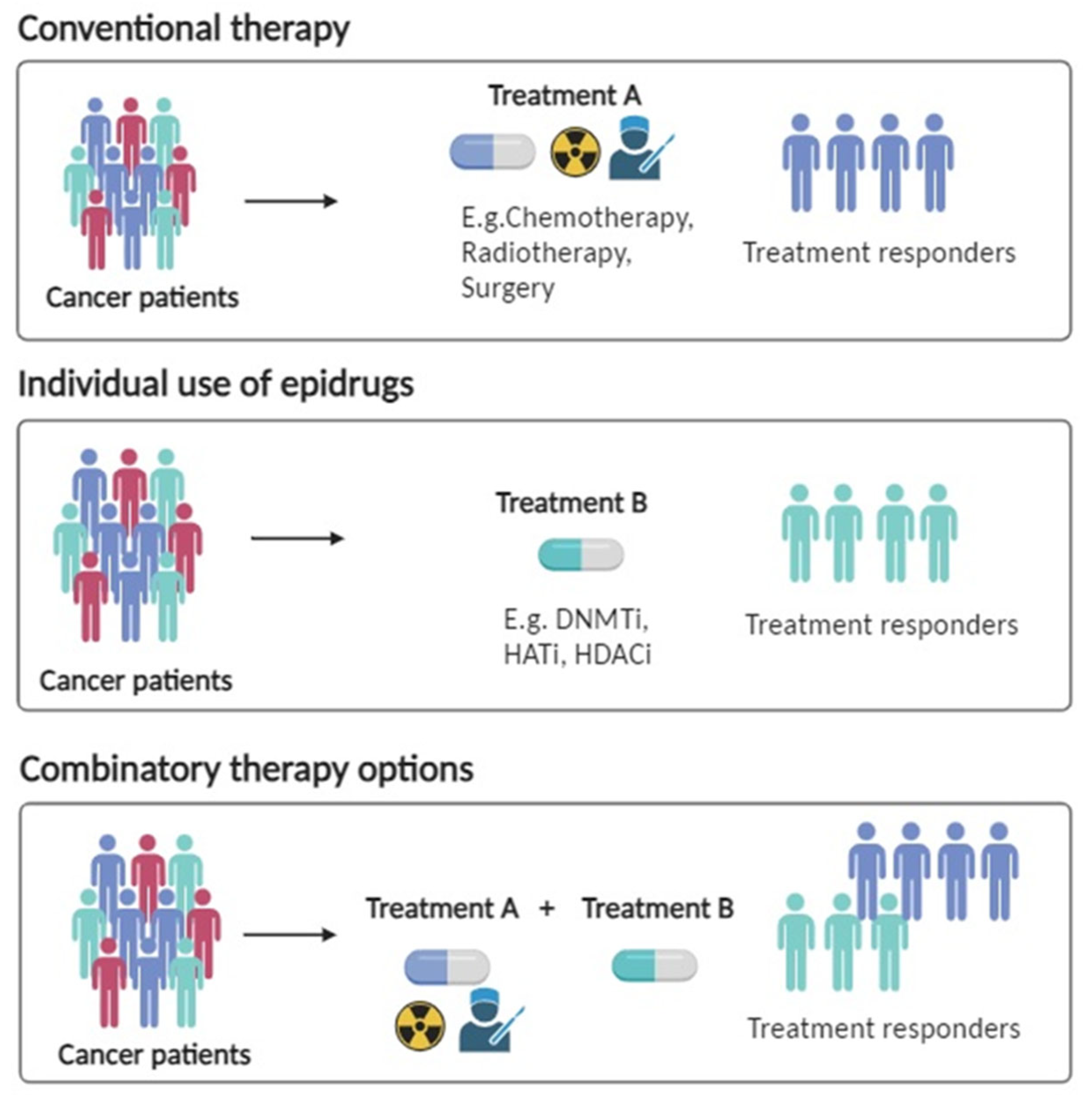 Cancers 15 05394 g002