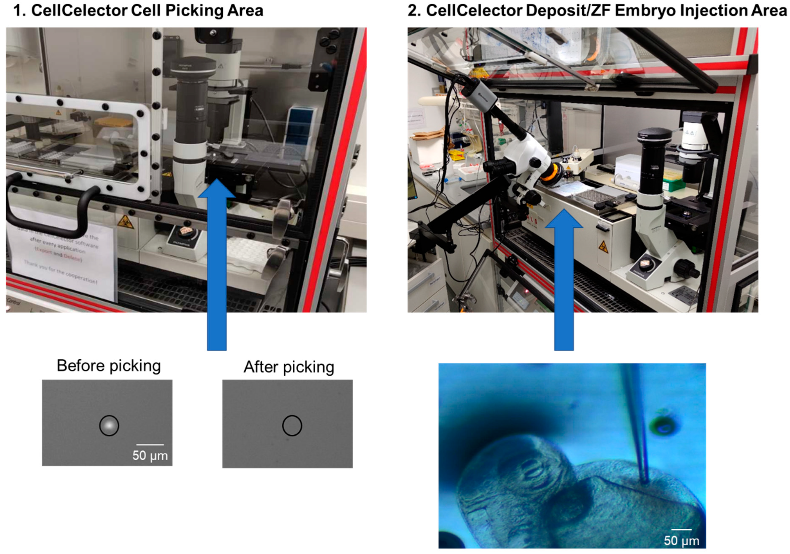 Cancers 15 05411 g003