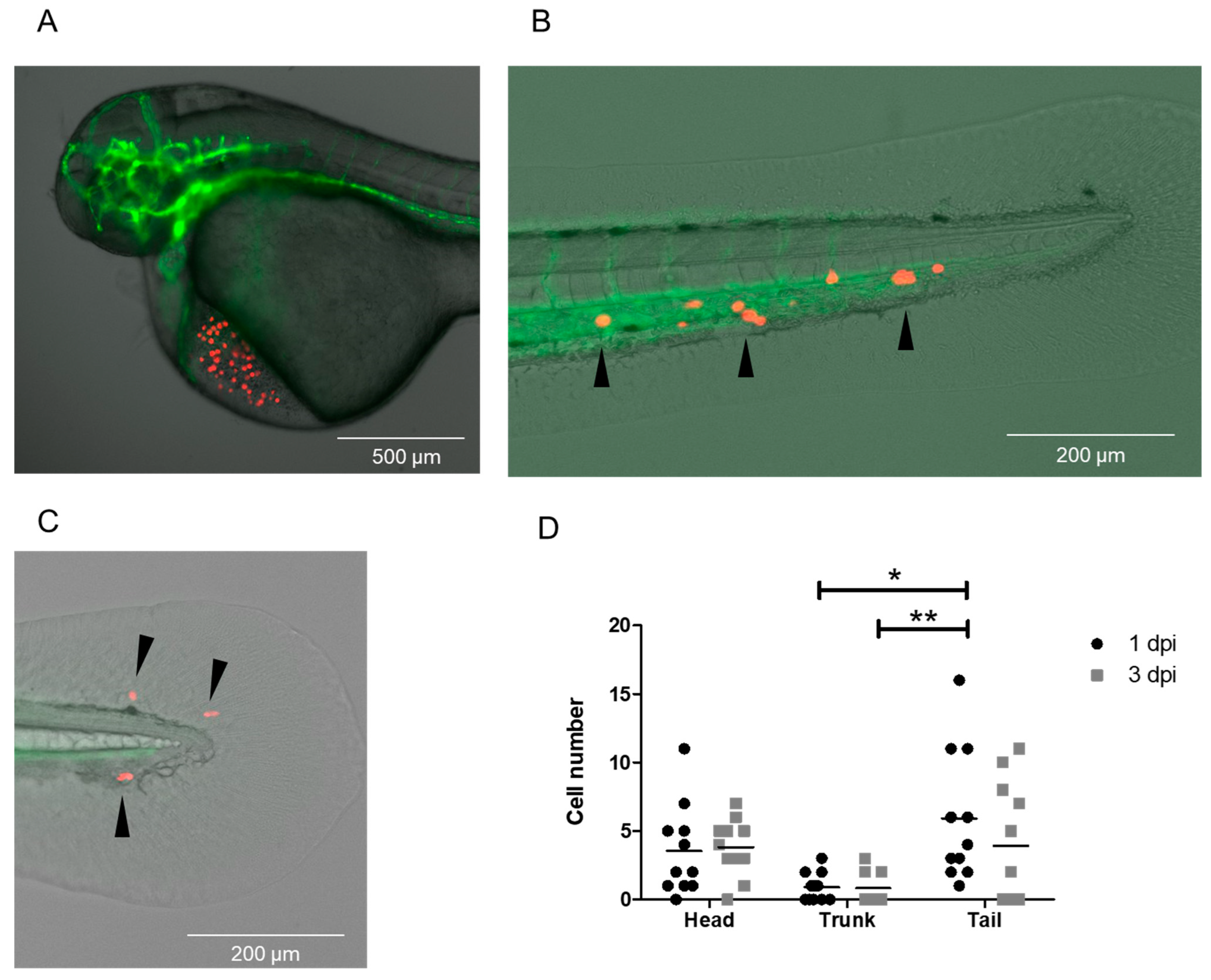 Cancers 15 05411 g005