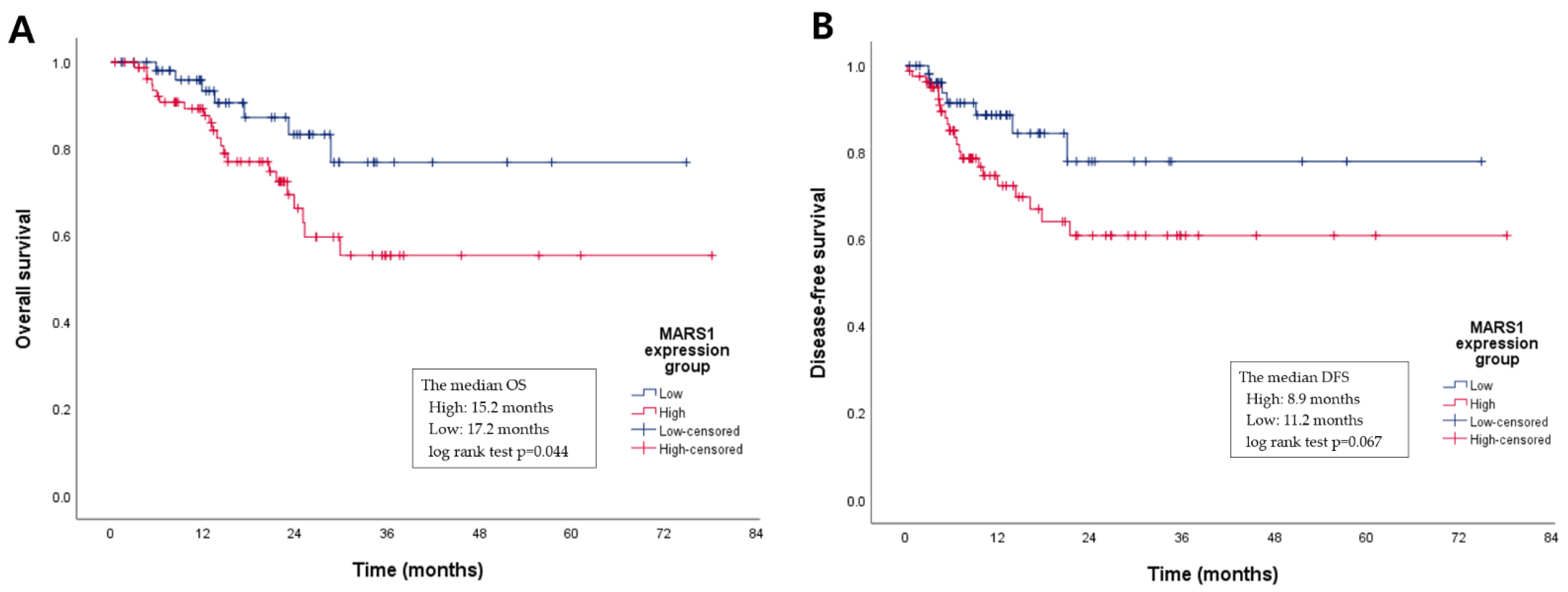 Cancers 15 05413 g004