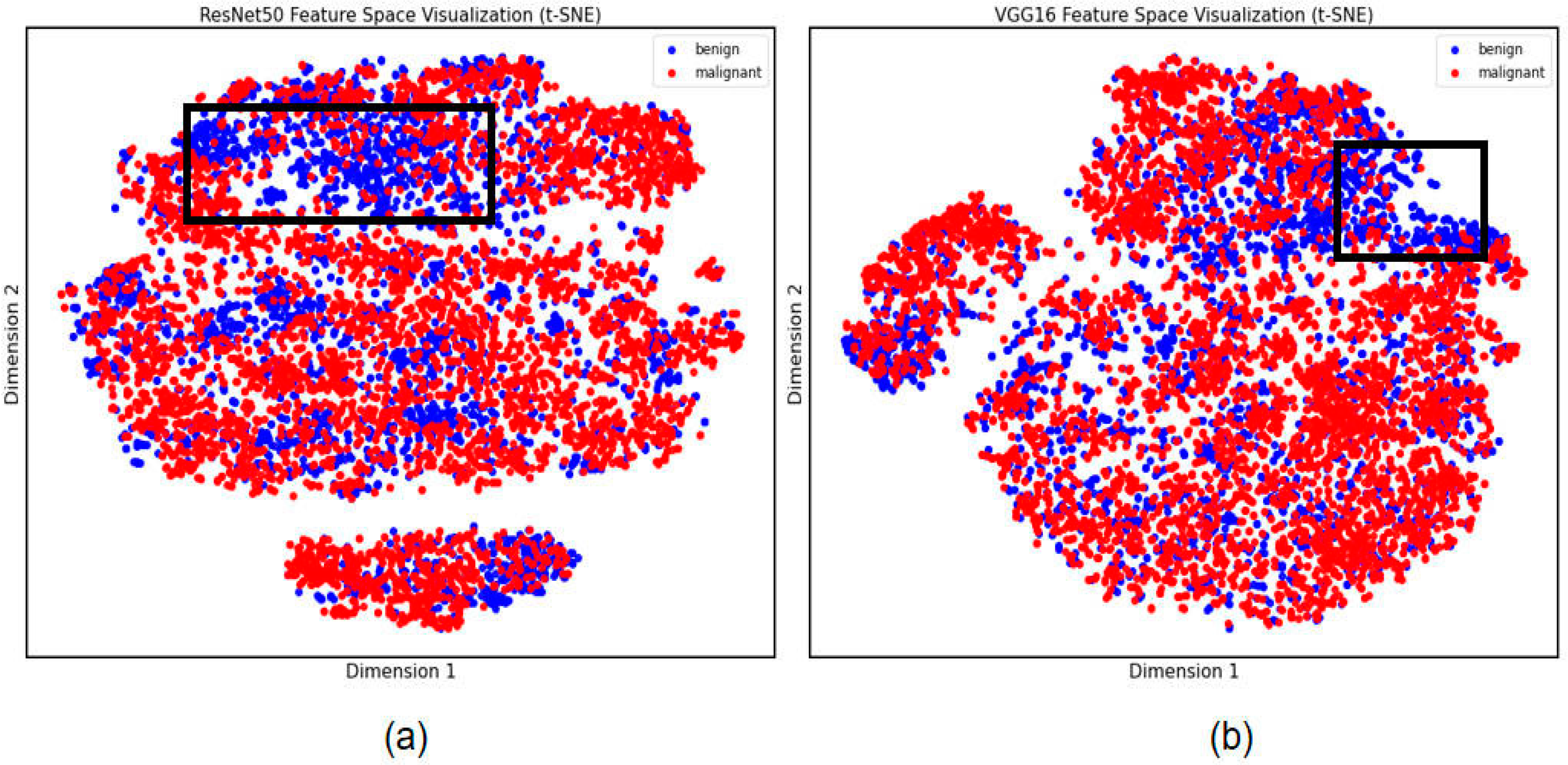 Cancers Free Full Text Machine Learning Model Of Resnet50 Ensemble Voting For Malignant