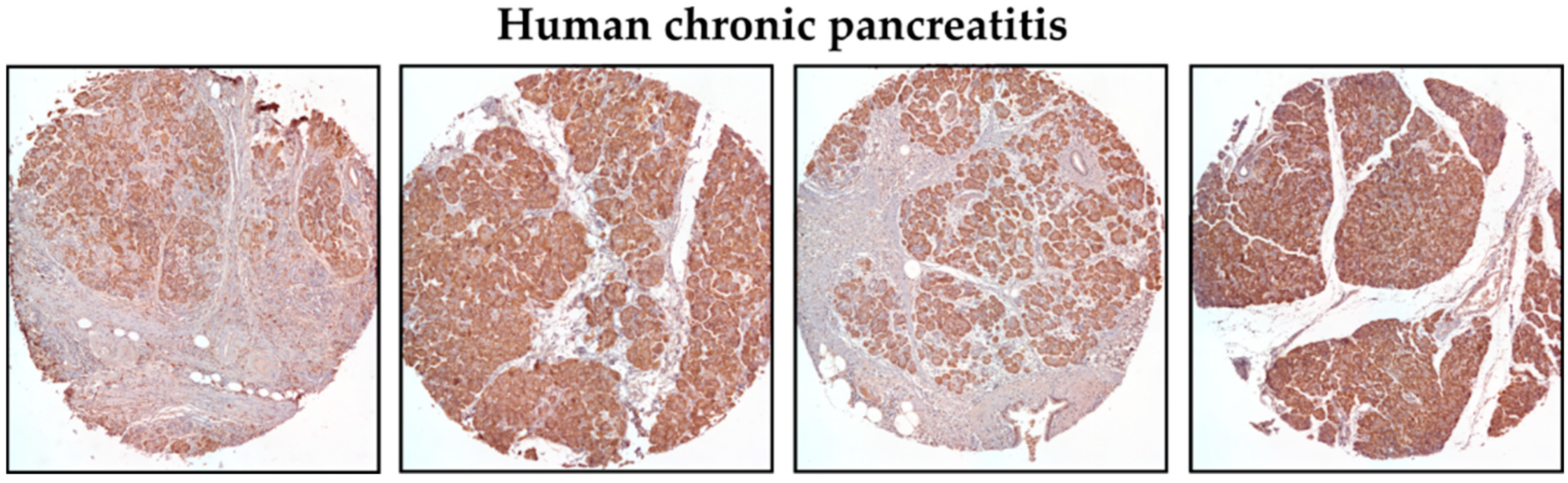Cancers 15 05427 g001