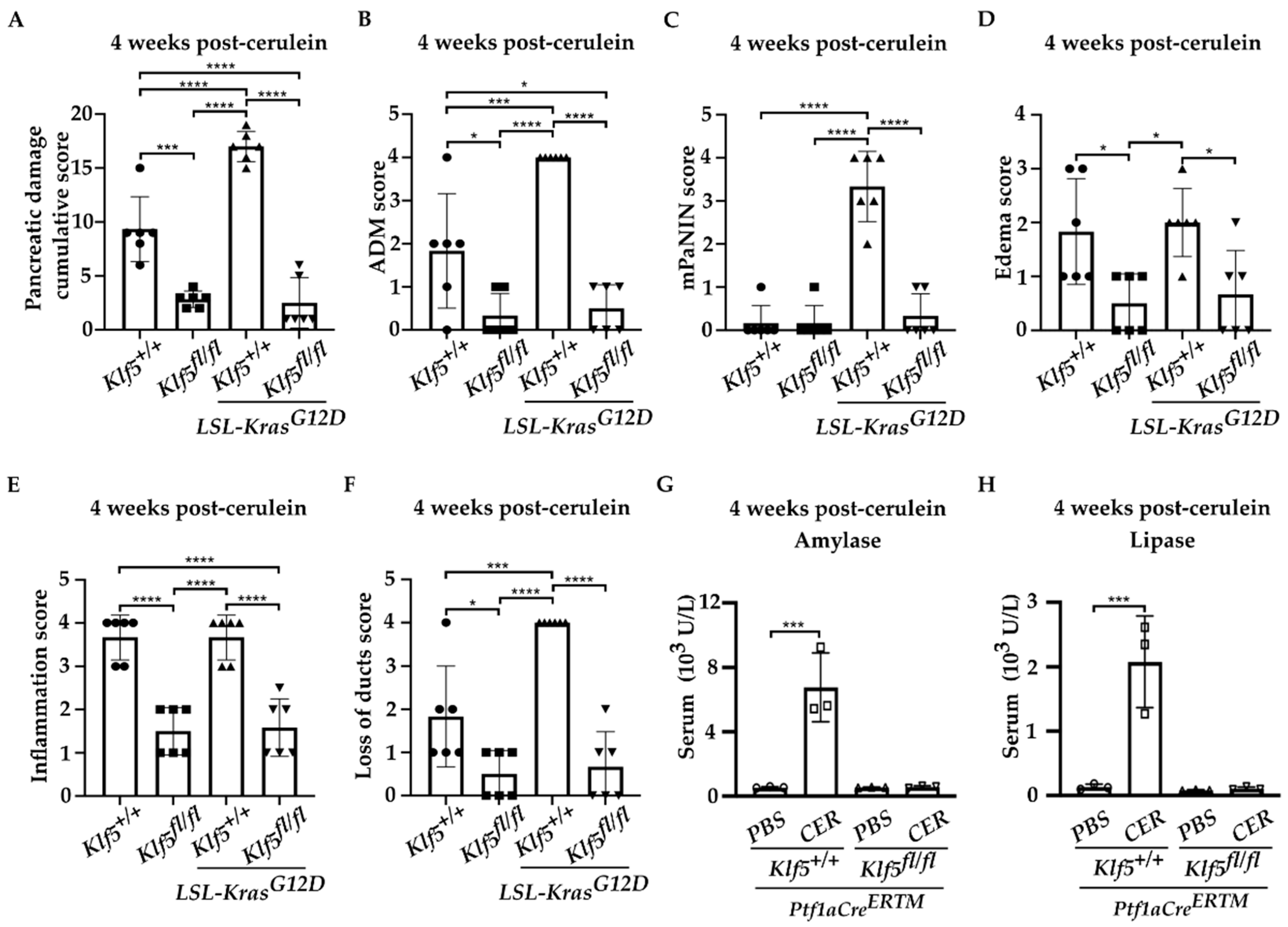 Cancers 15 05427 g003