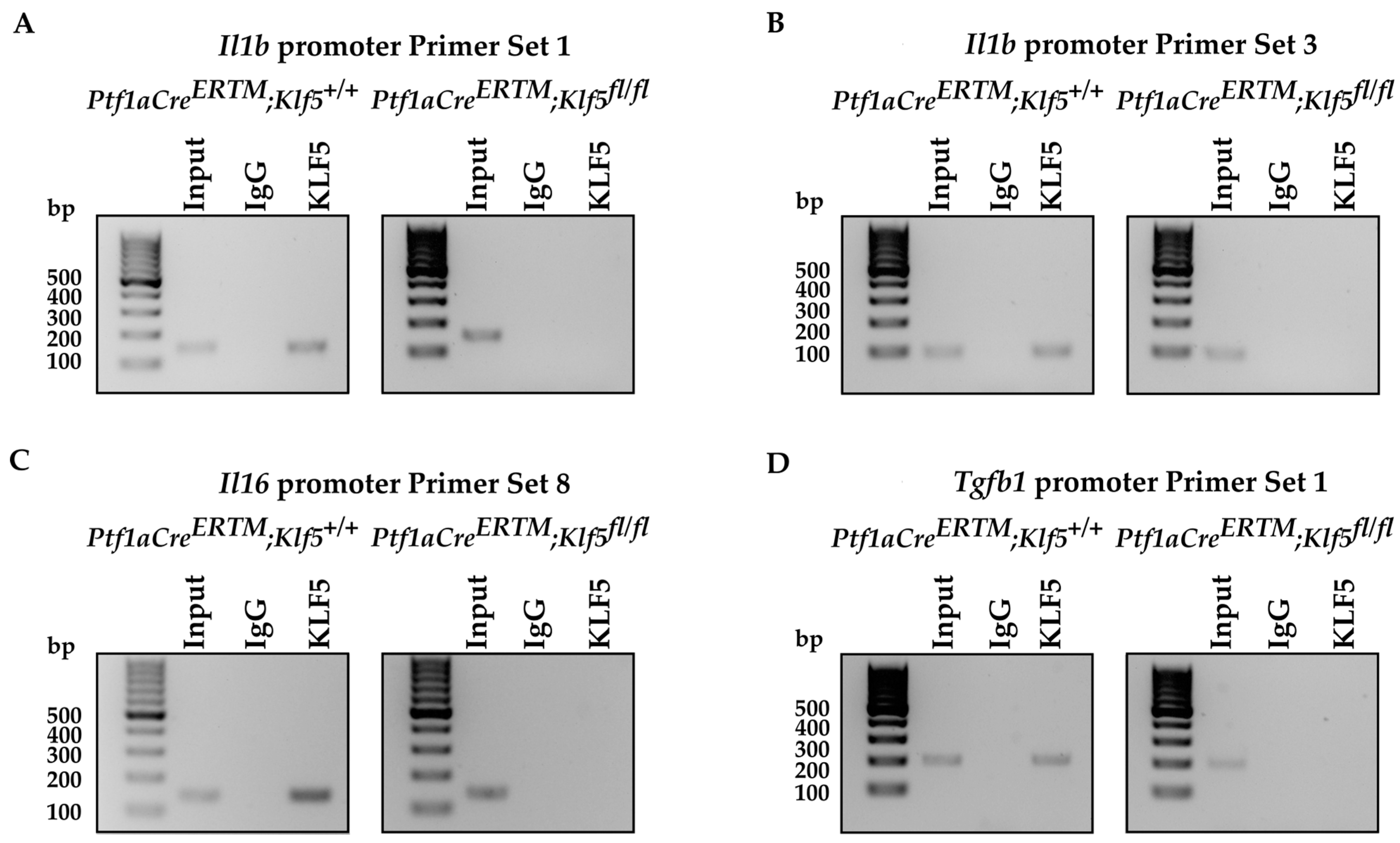Cancers 15 05427 g010