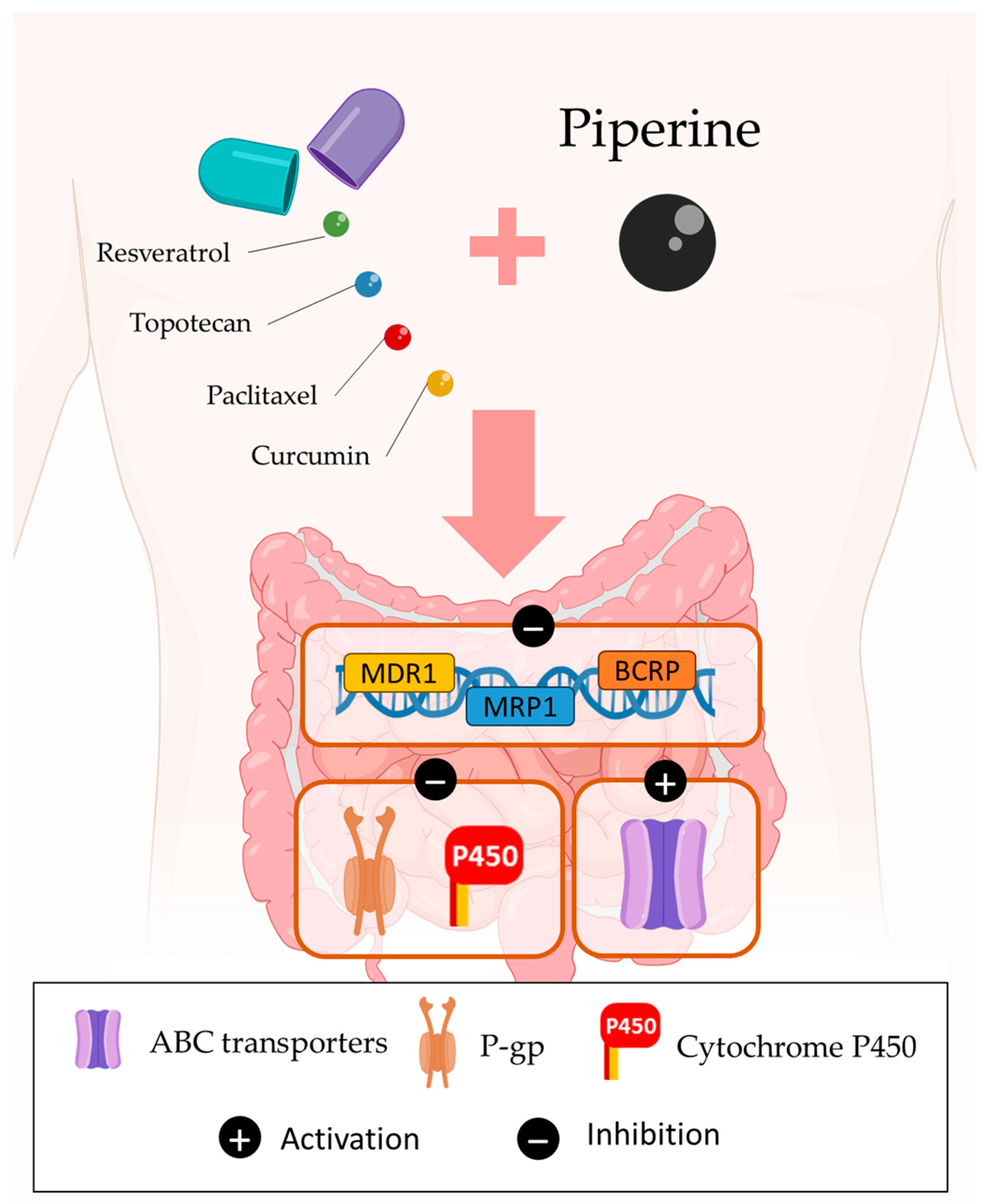 Cancers 15 05488 g006 Cancers 15 05488 g006