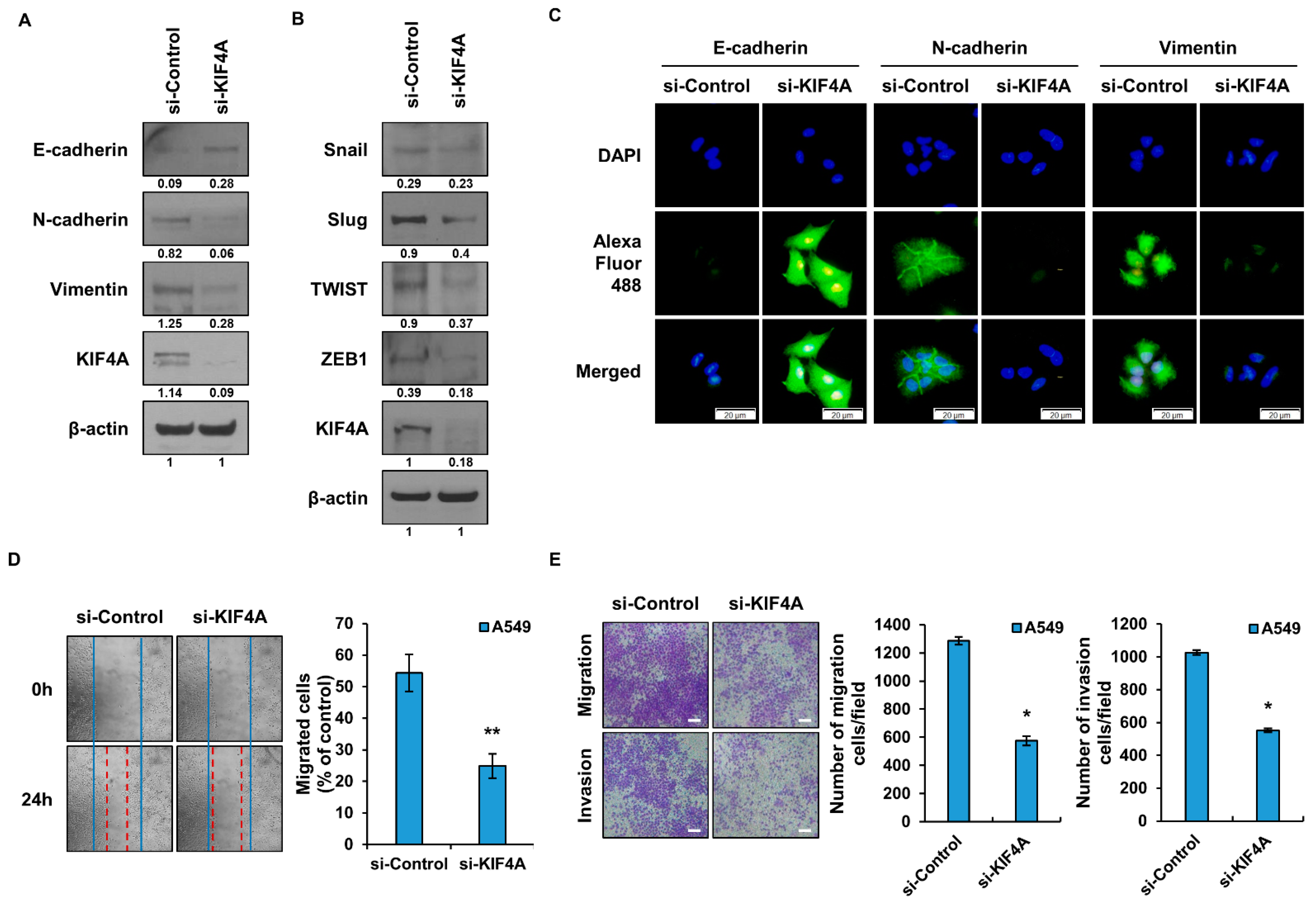 Cancers 15 05523 g003