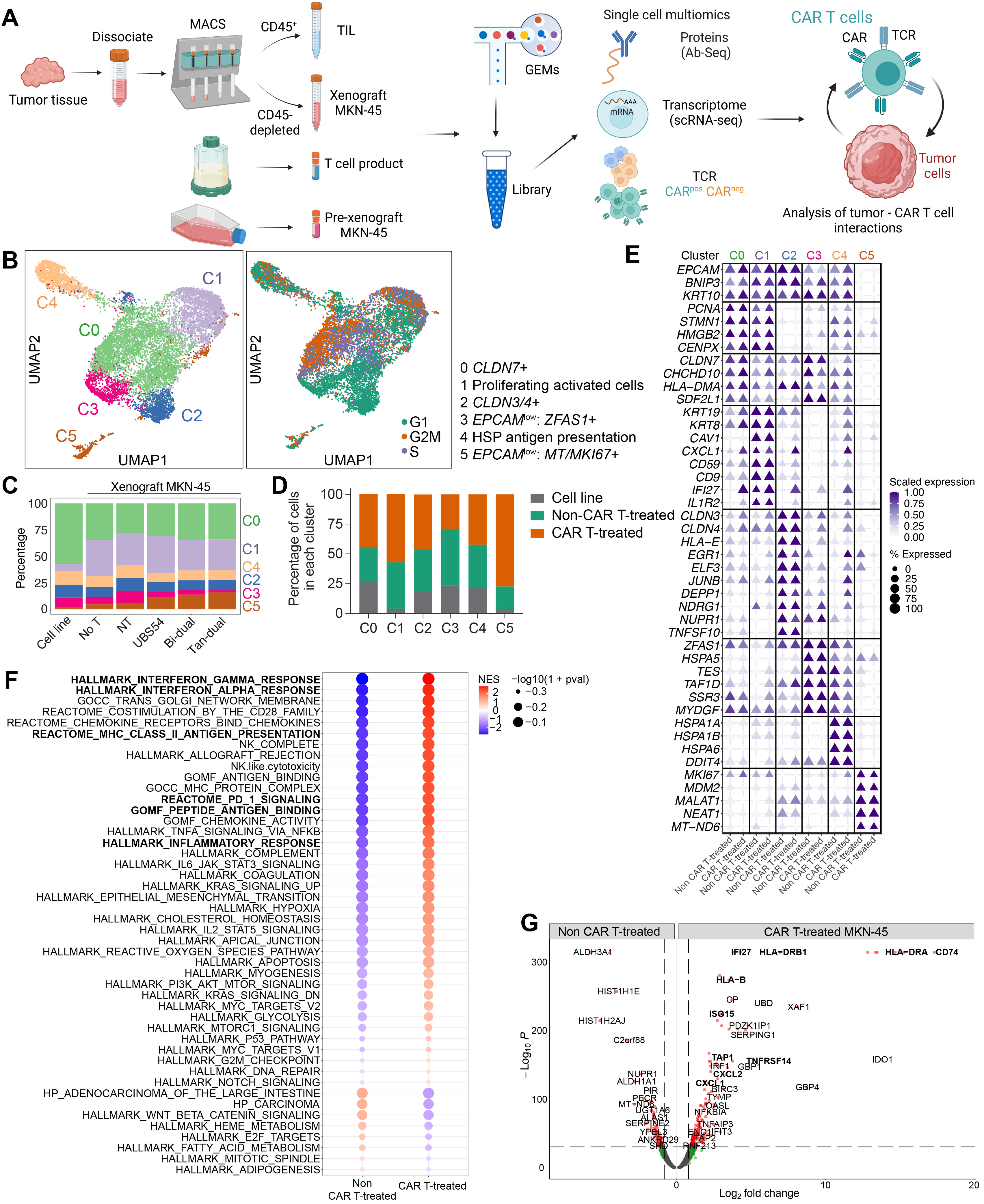 Cancers 15 05552 g002