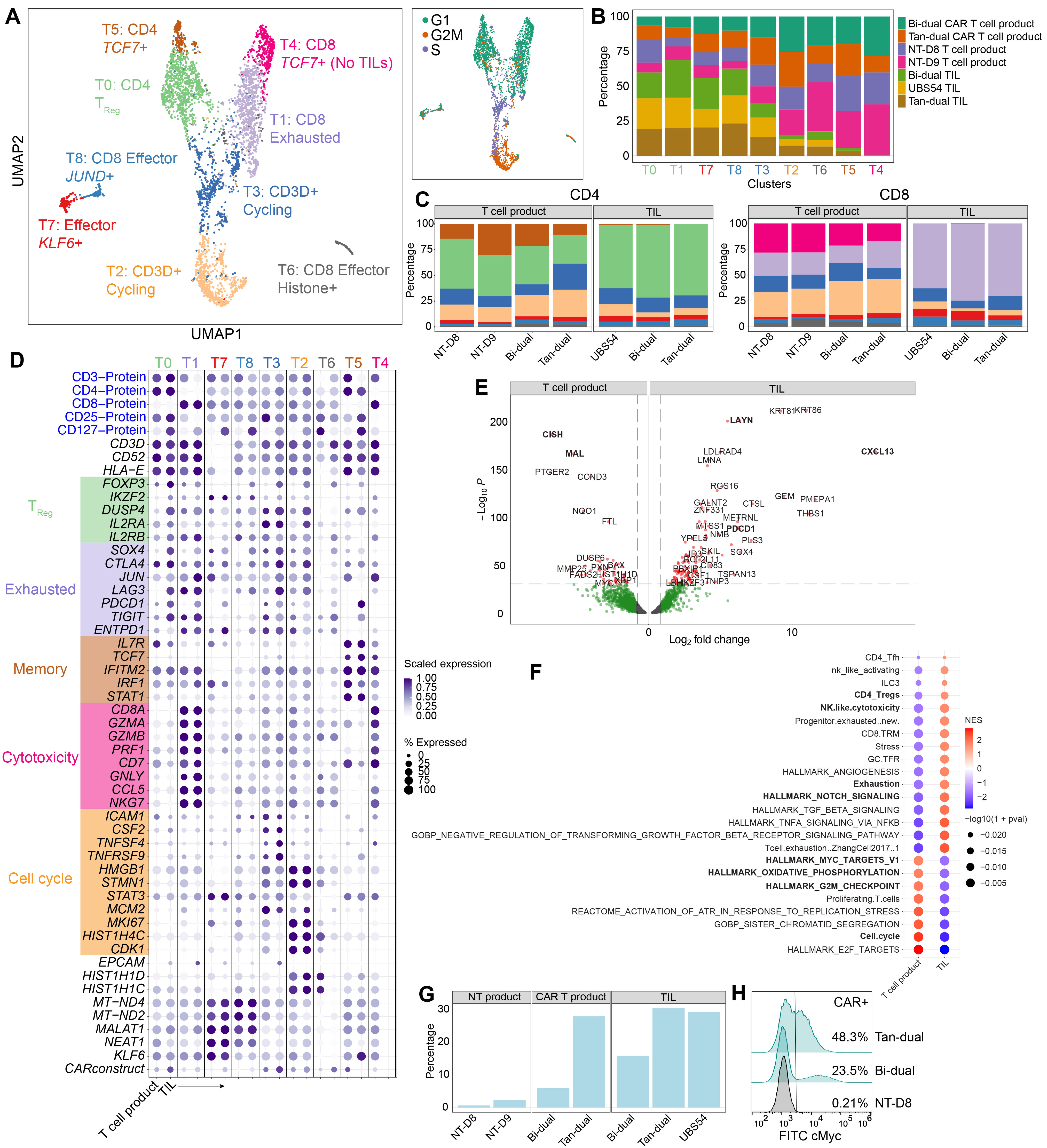 Cancers 15 05552 g003